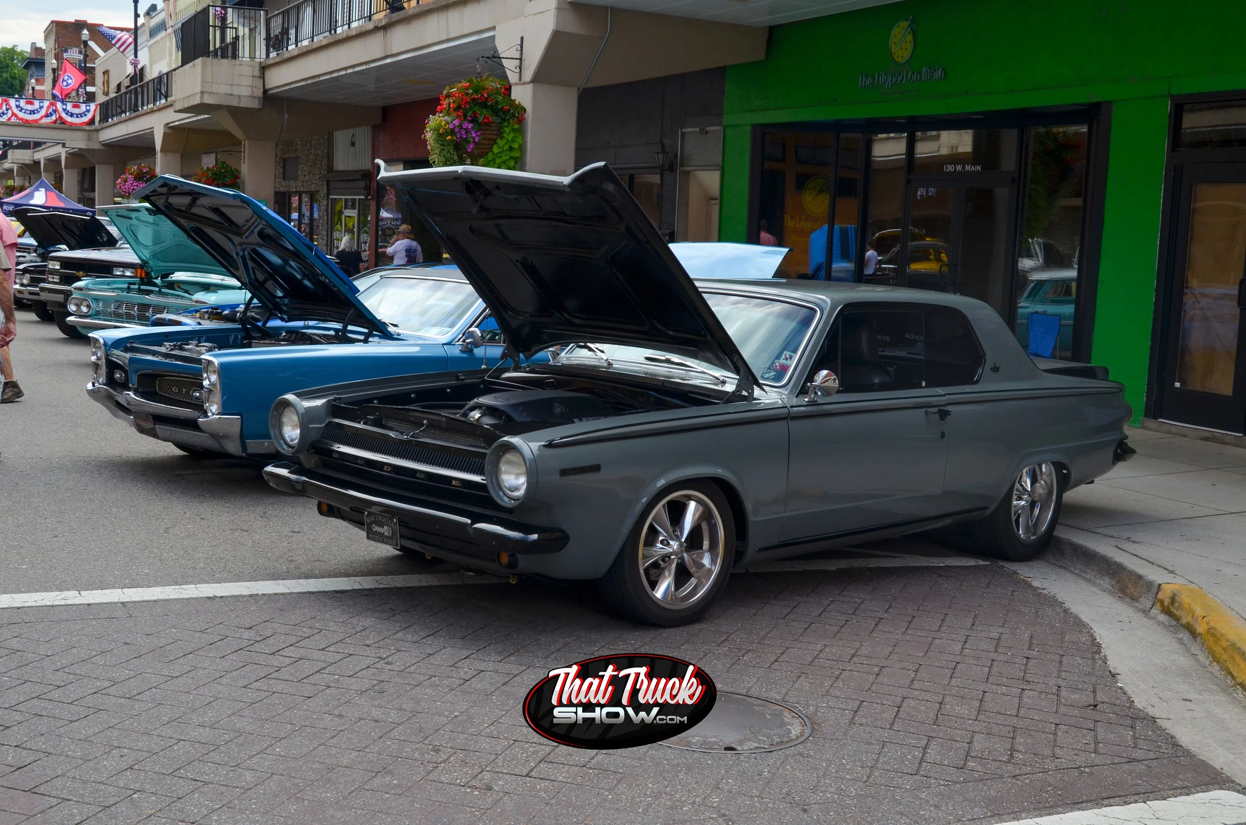 DSC_0464.jpg