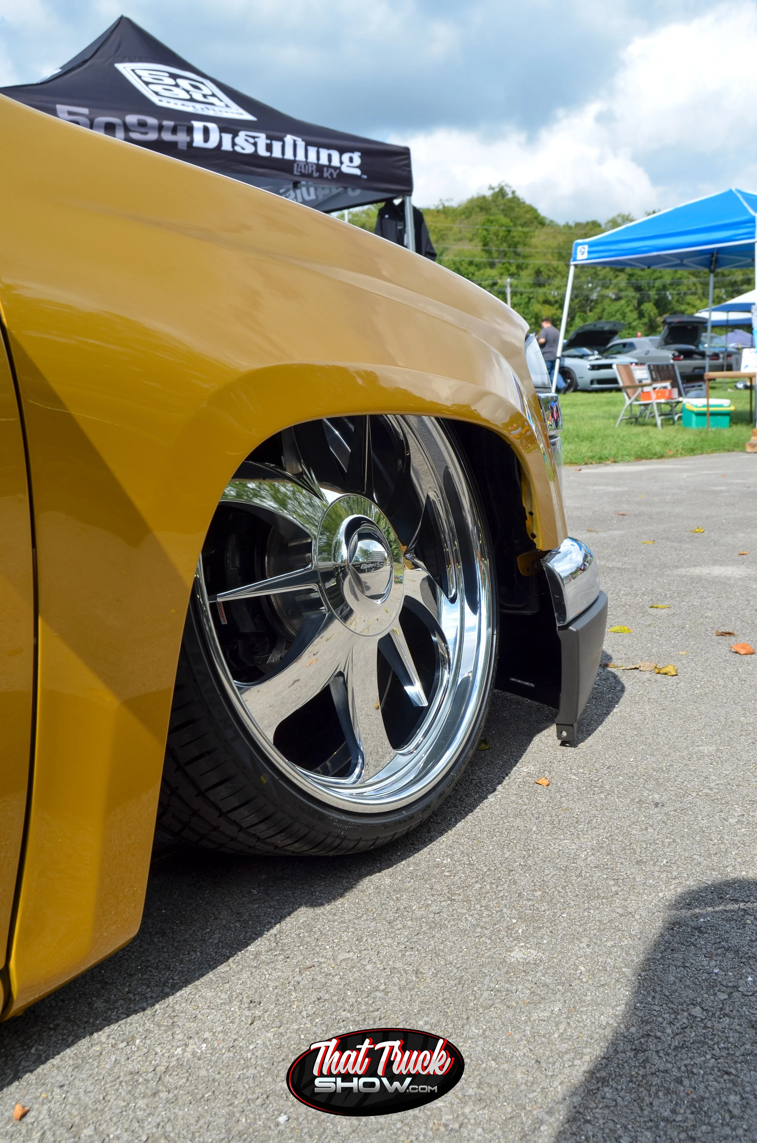 DSC_0081.jpg