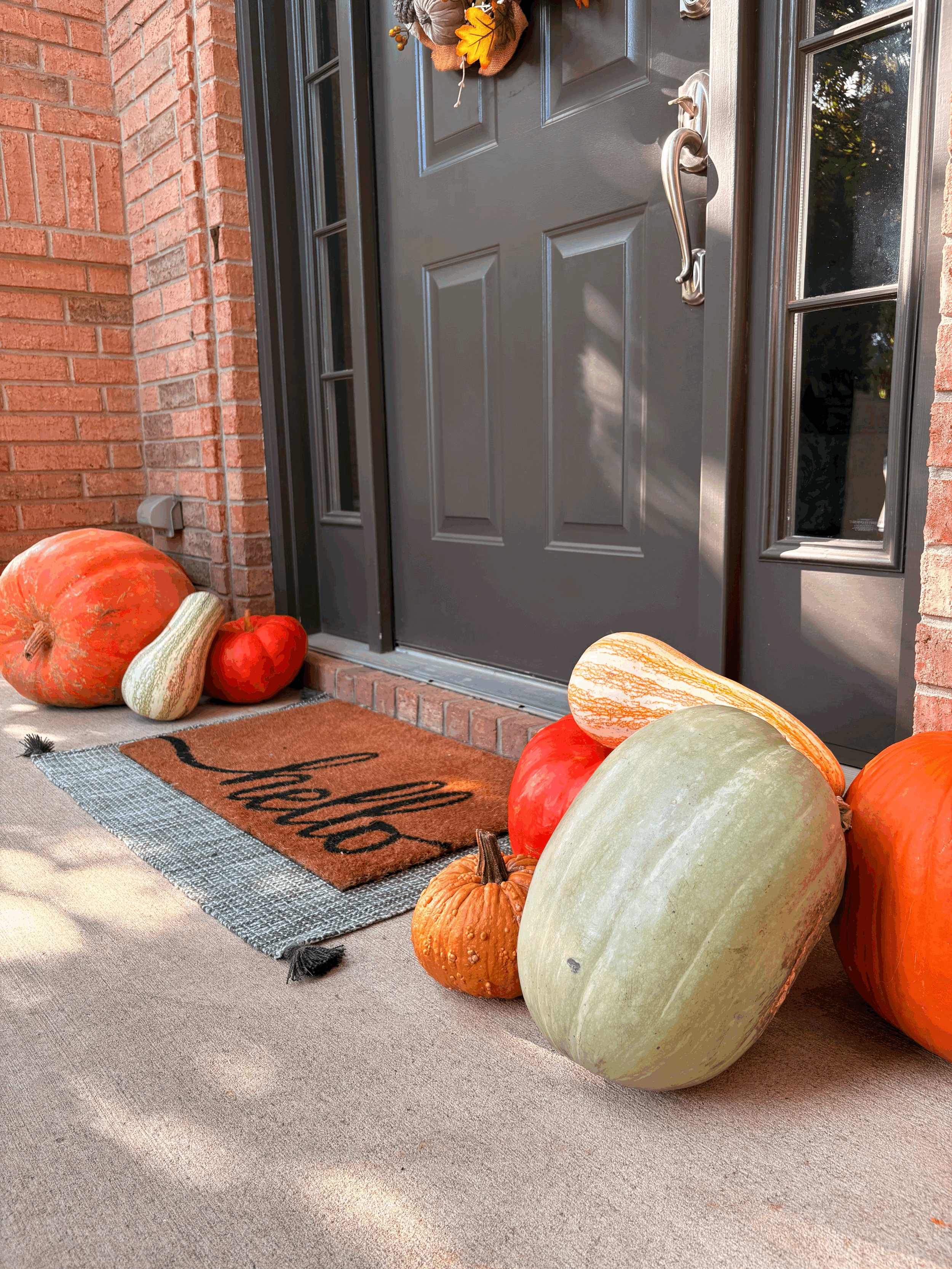 The Petit Pumpkin Package