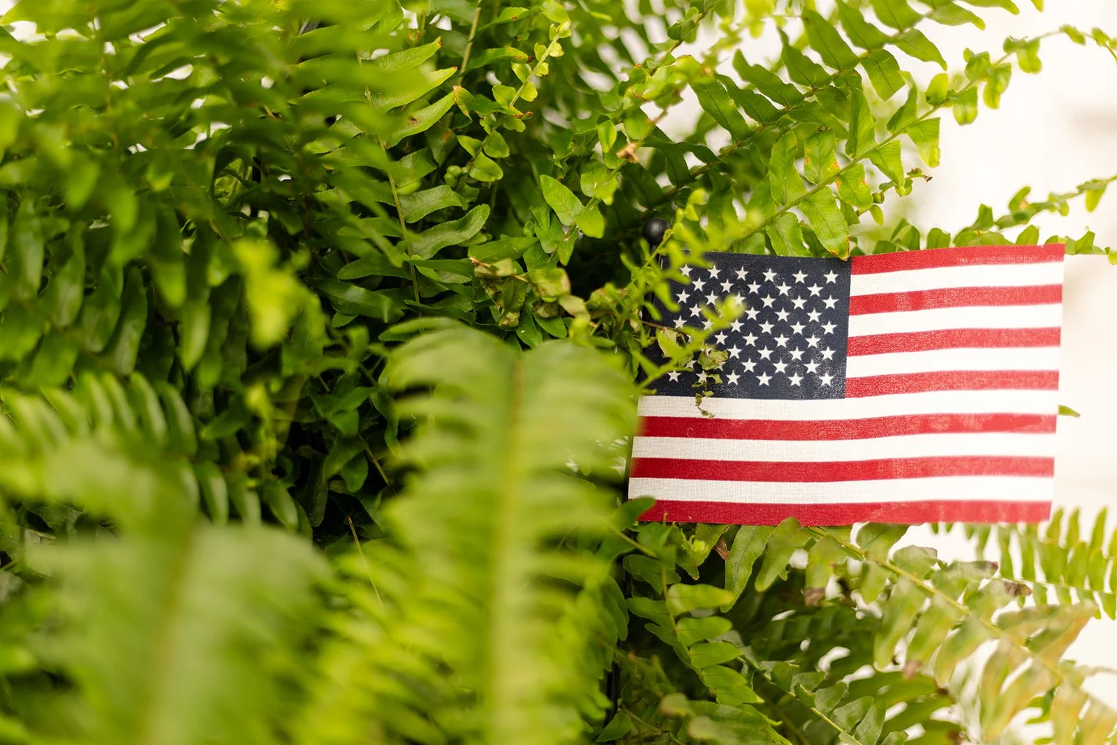 Front Porch Ideas for Patriotic Holidays that Feel Elevated