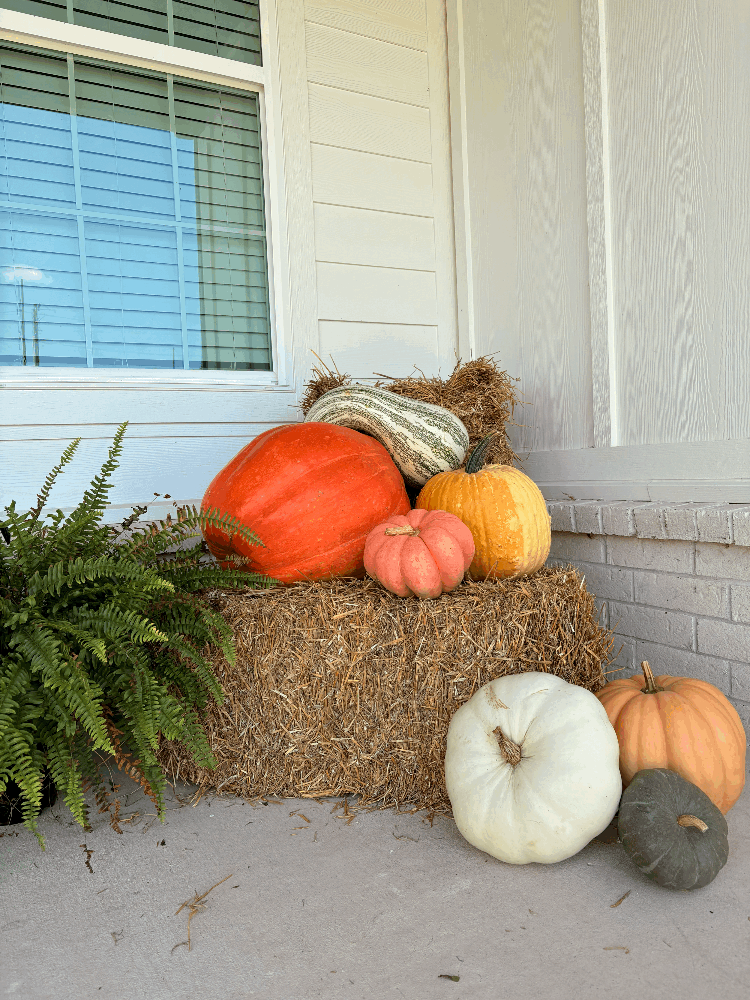 Fall Hay Bale