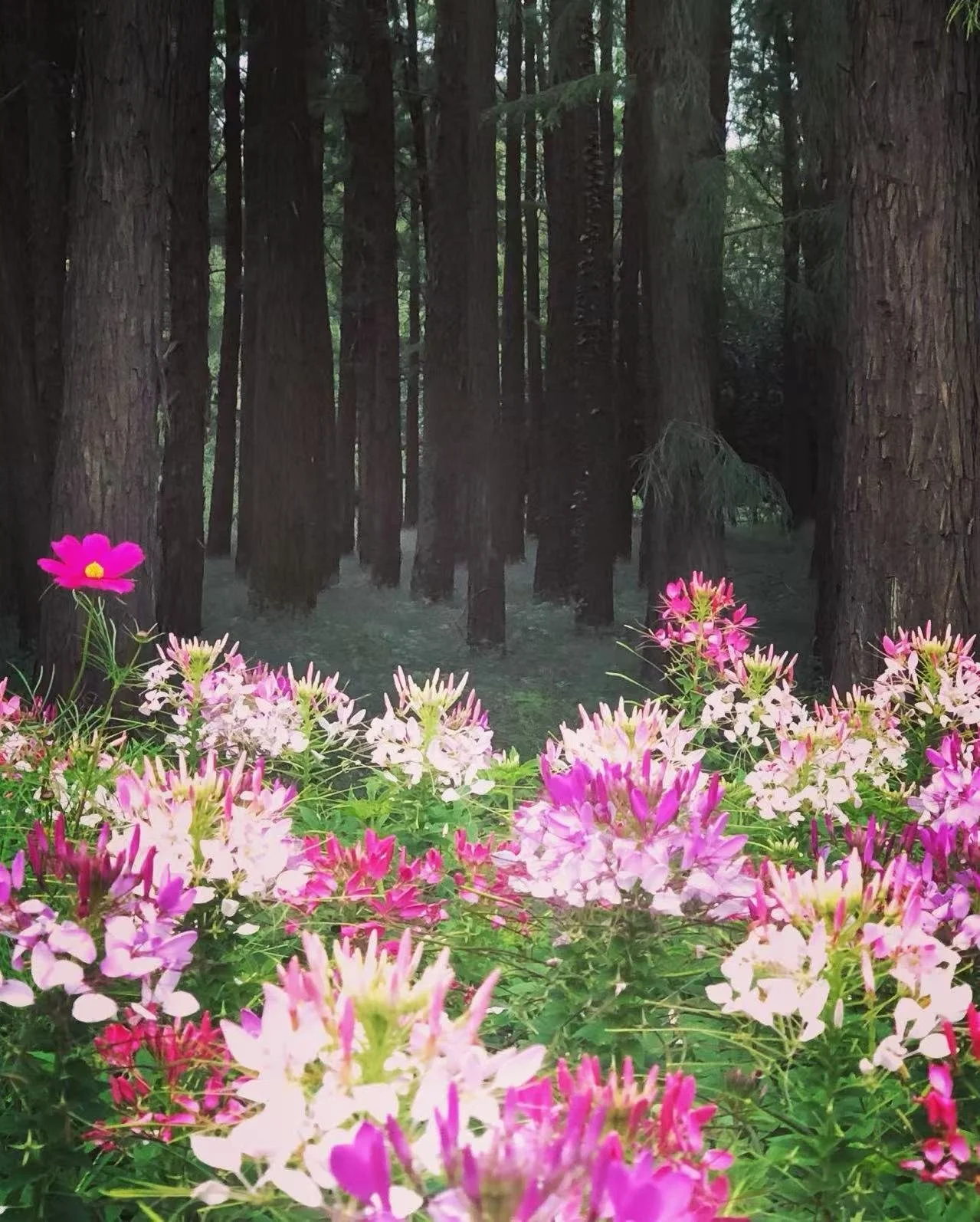 Broken Armor and Battle Scars: Why I Write Women Who Refuse to Break