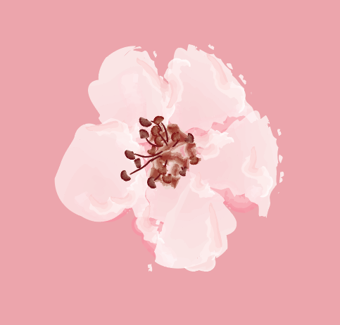Painted cherry blossom