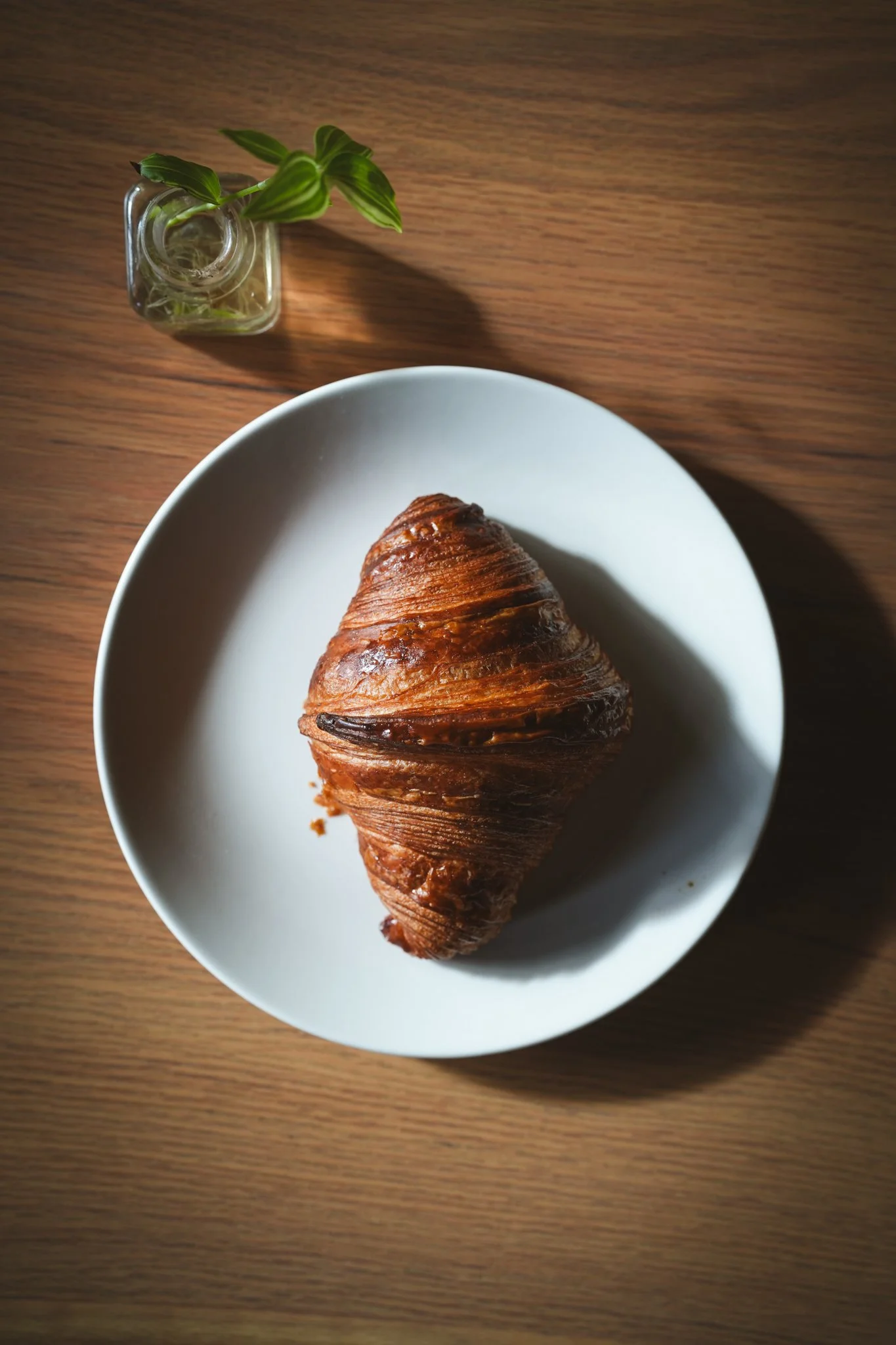 Wayward Pastry Bakery_Chattanooga-8.jpg