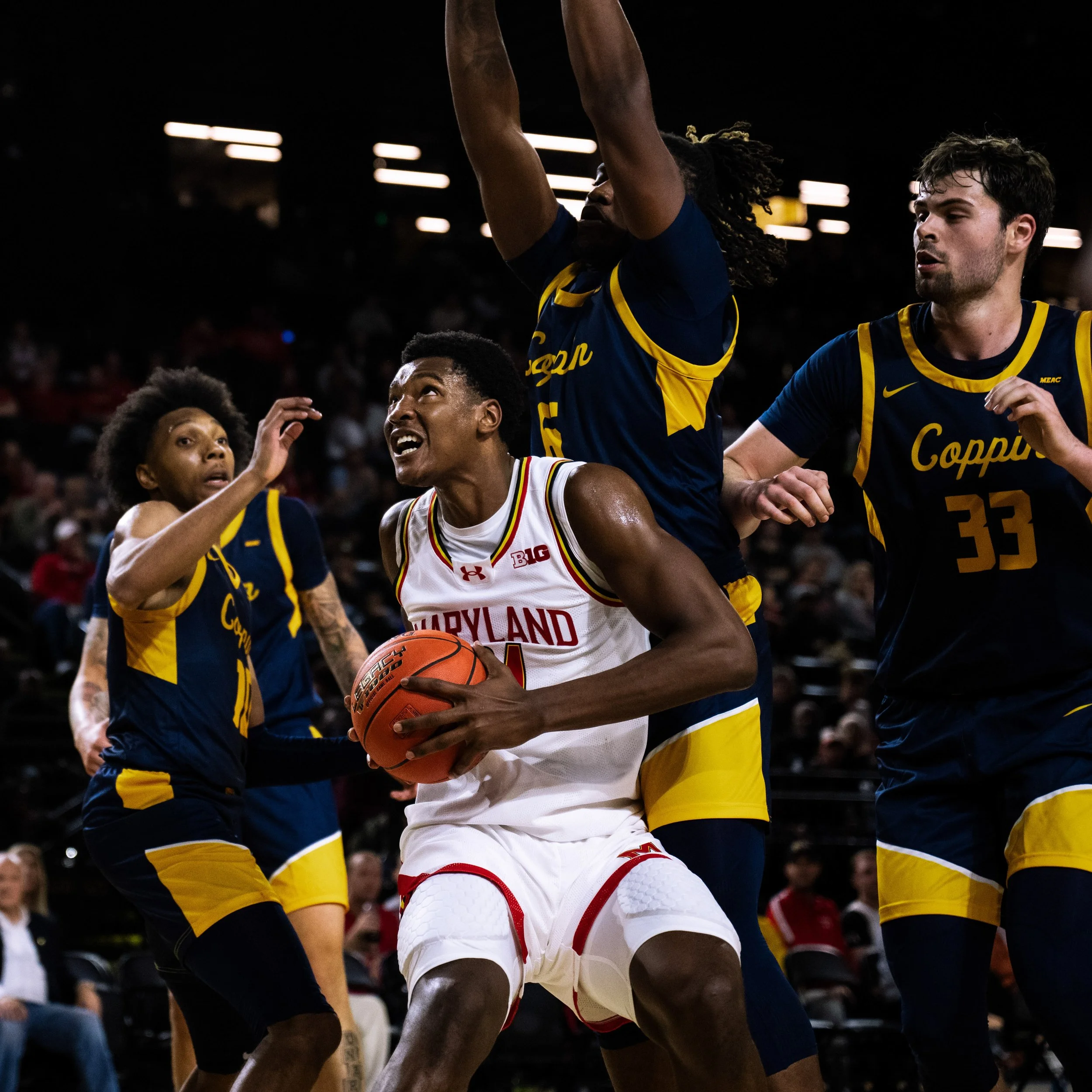 terps-012.jpg
