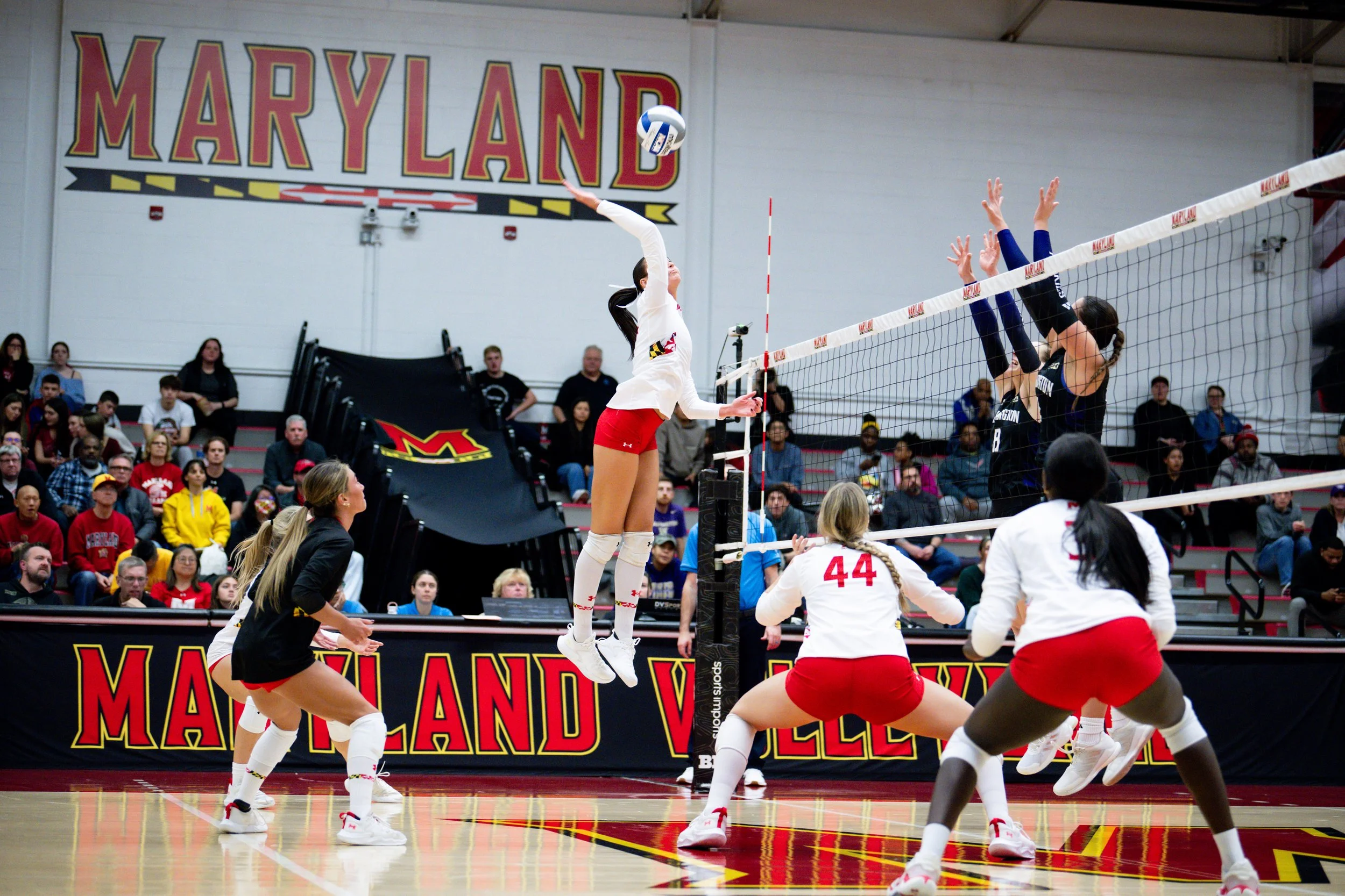 wvolleyballvswashongton261125_md-083.jpg