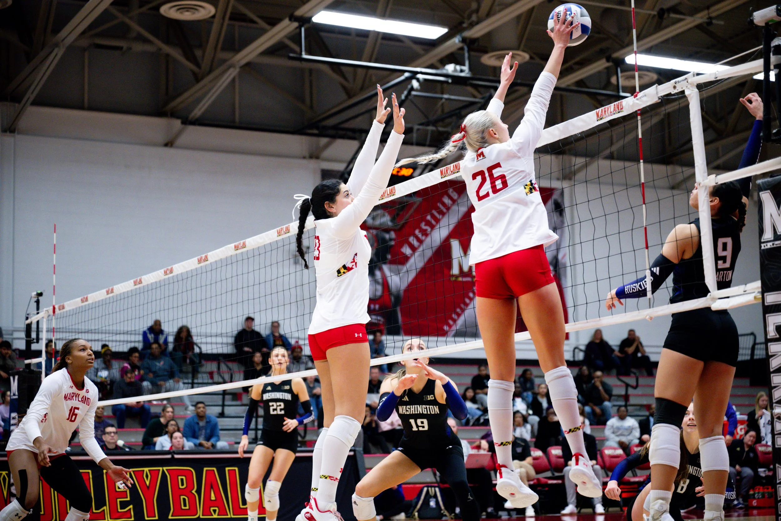 wvolleyballvswashongton261125_md-091.jpg