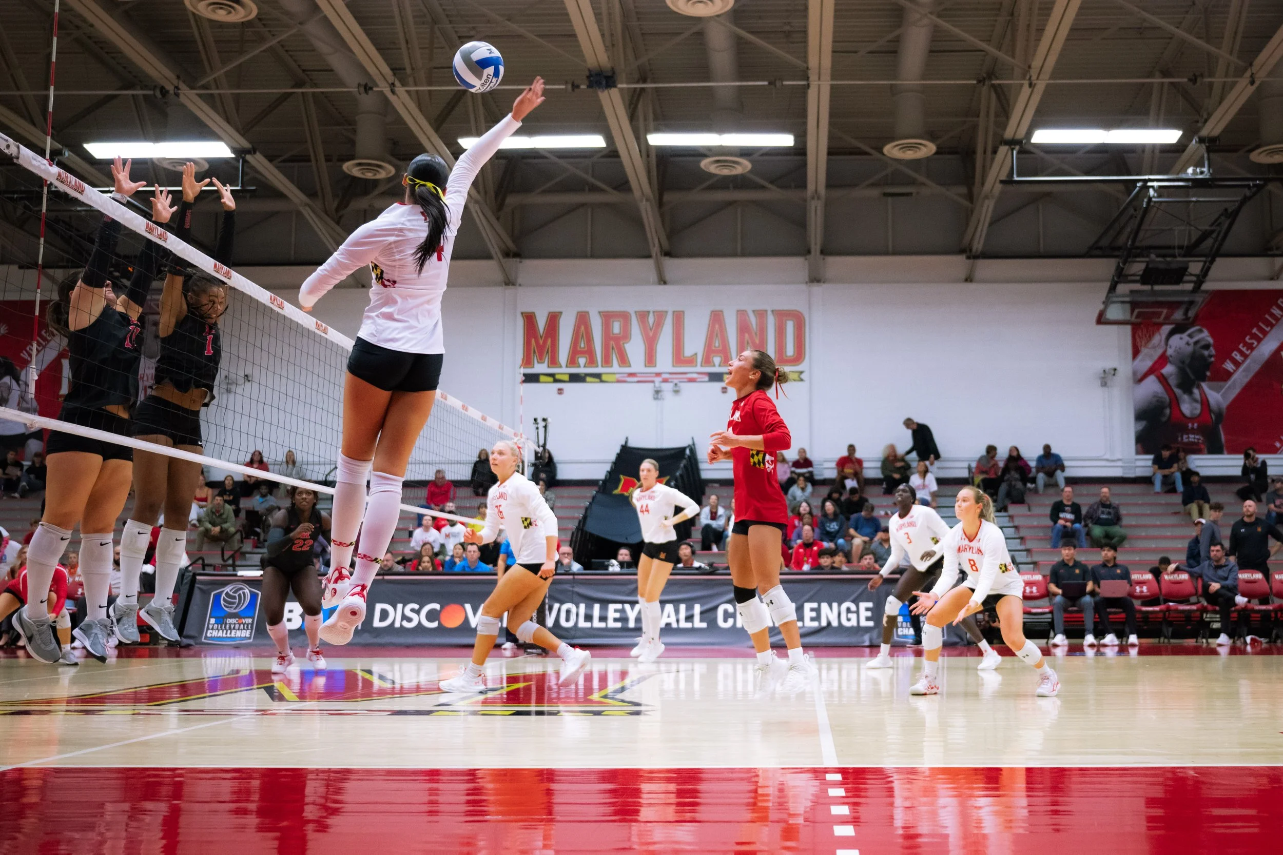 WVolleyballvRutgers20251014_MD_-047.jpg