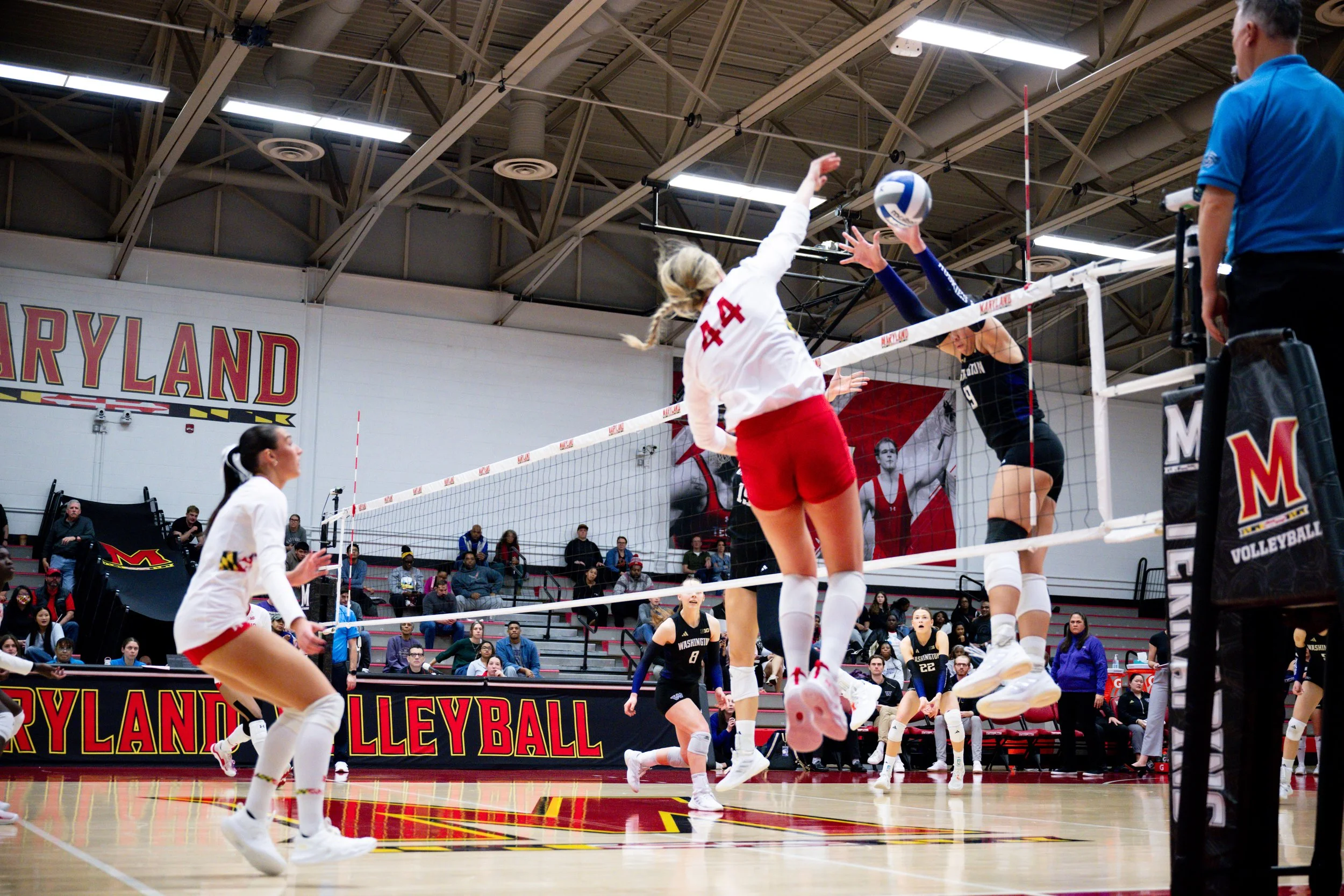 wvolleyballvswashongton261125_md-088.jpg
