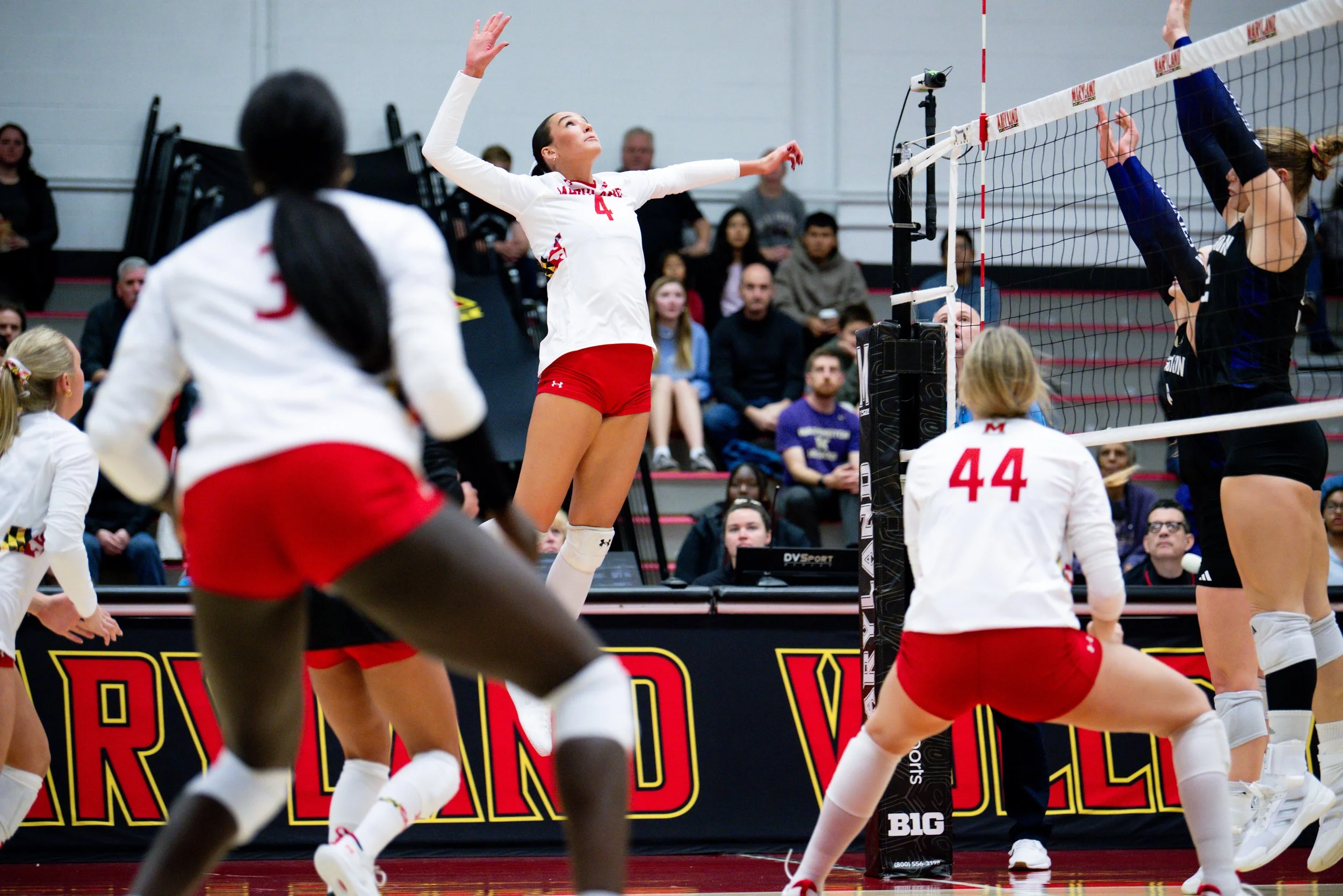 wvolleyballvswashongton261125_md-030.jpg