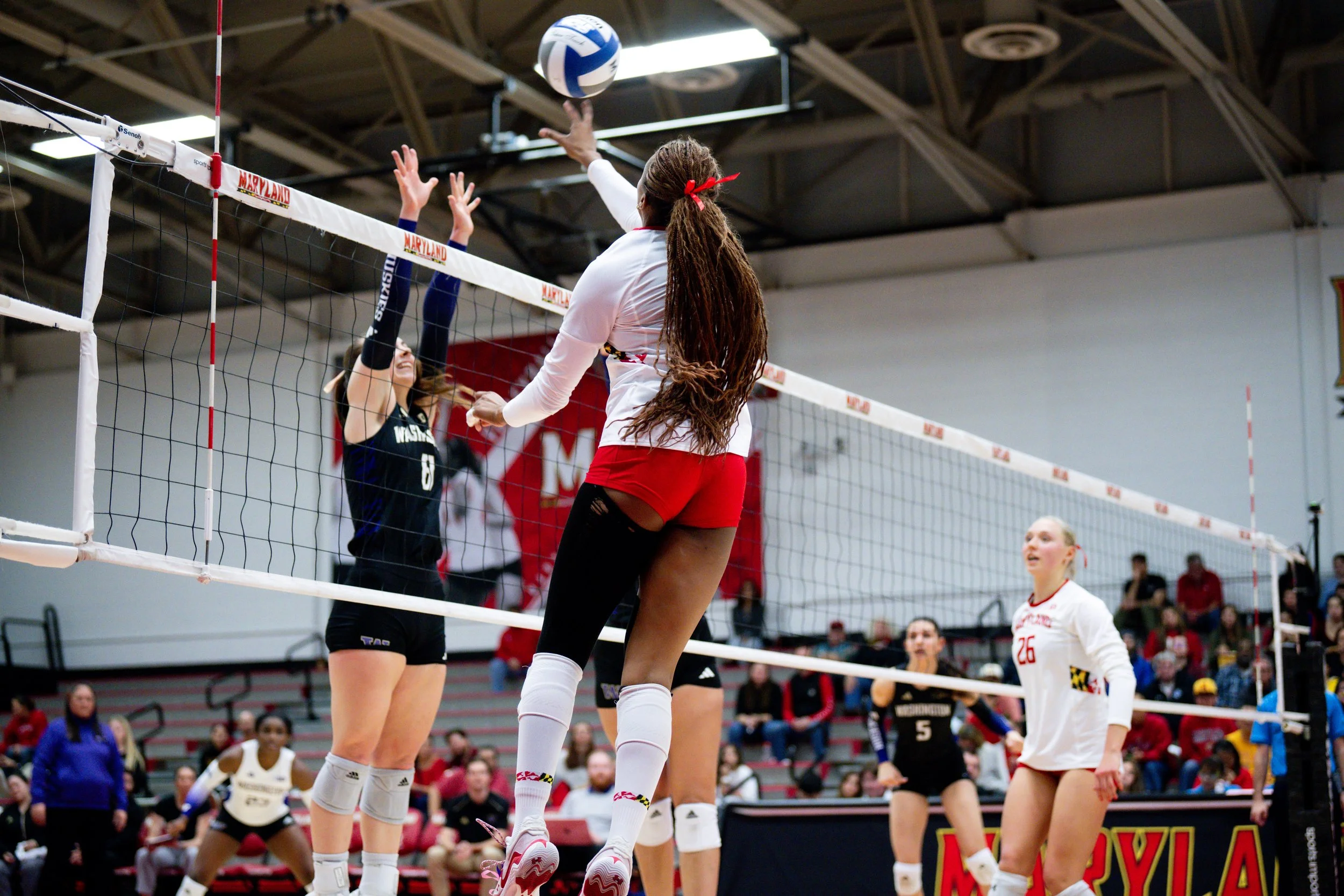 wvolleyballvswashongton261125_md-067.jpg