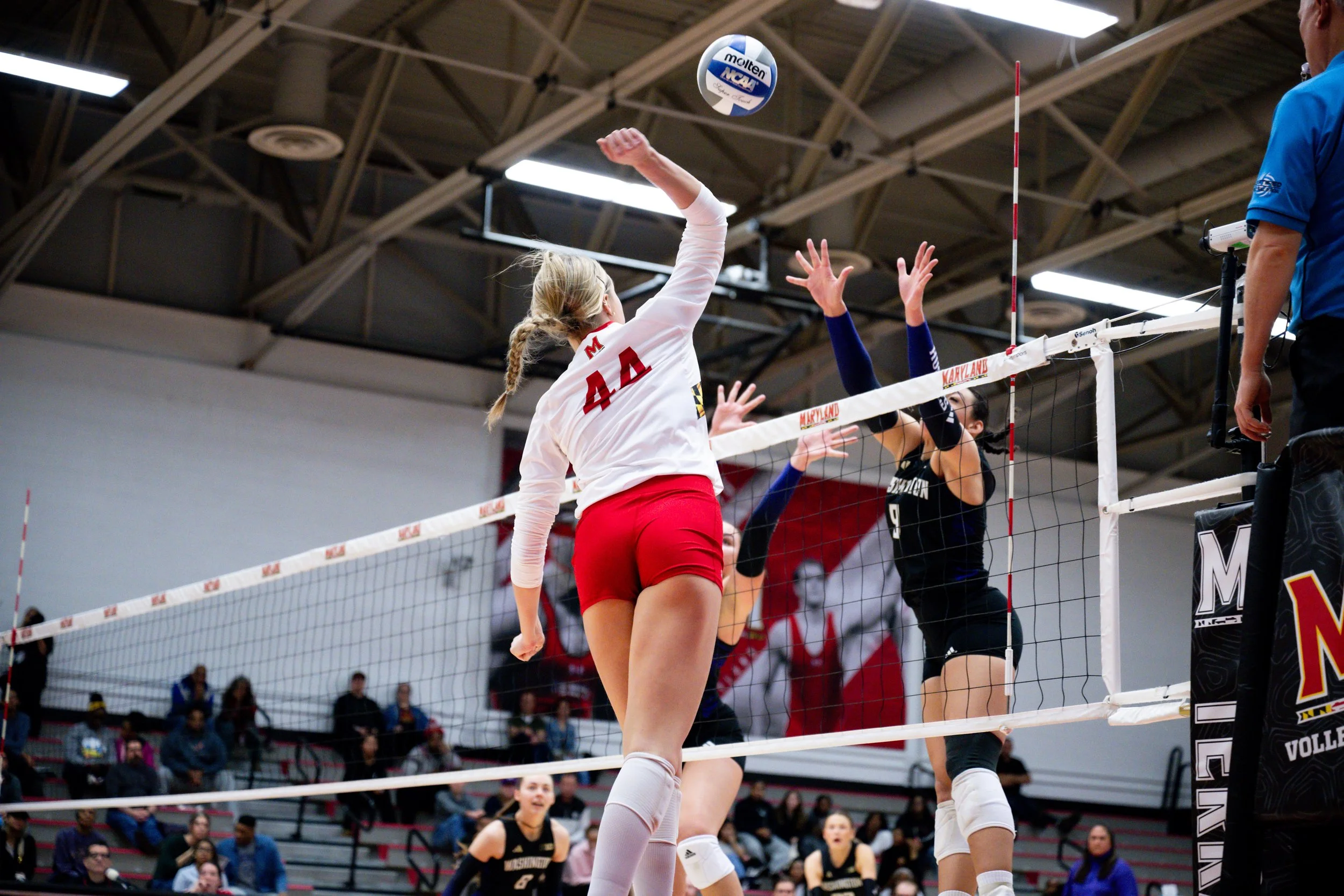 wvolleyballvswashongton261125_md-087.jpg