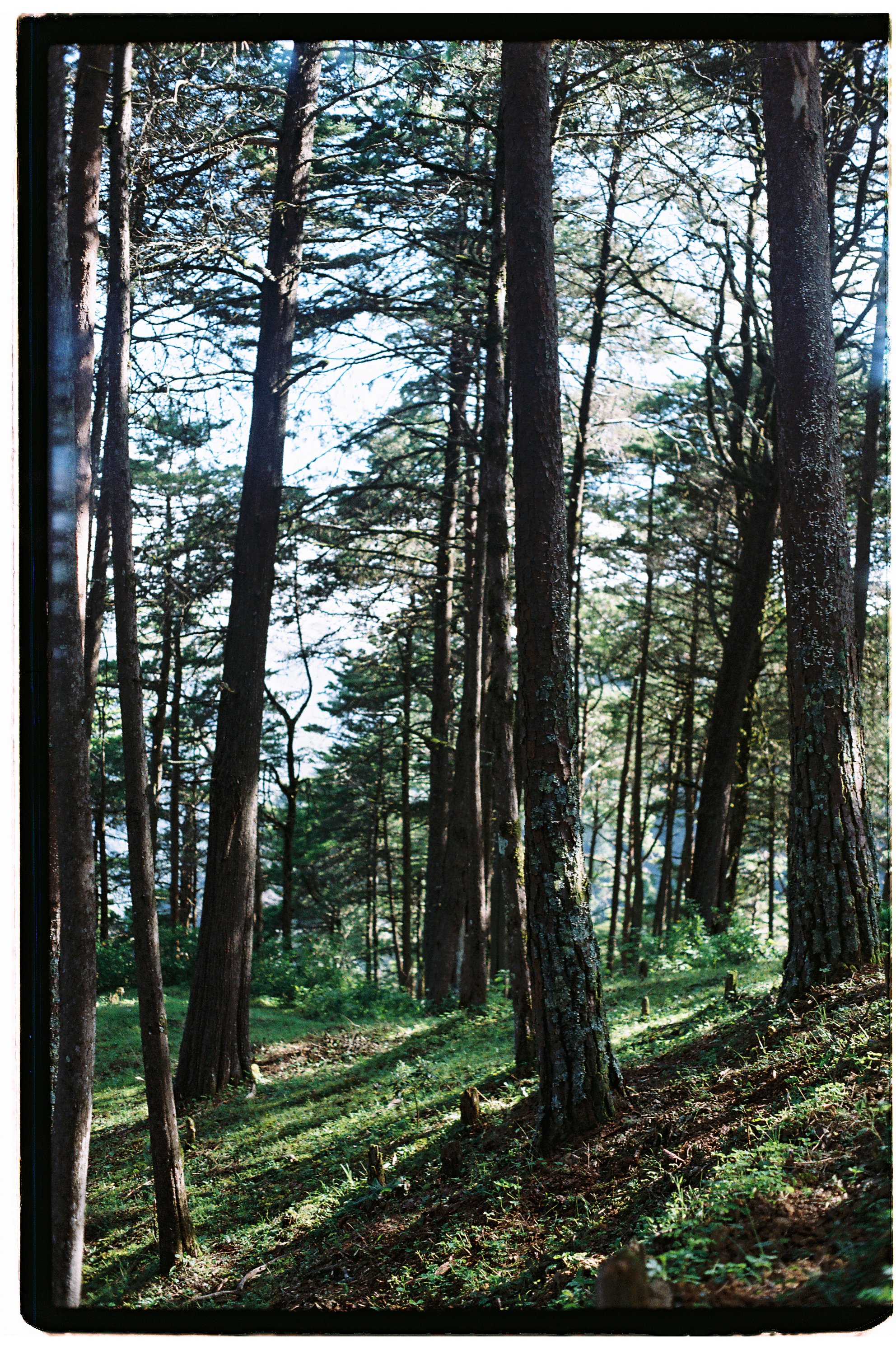 FILM-40.jpg