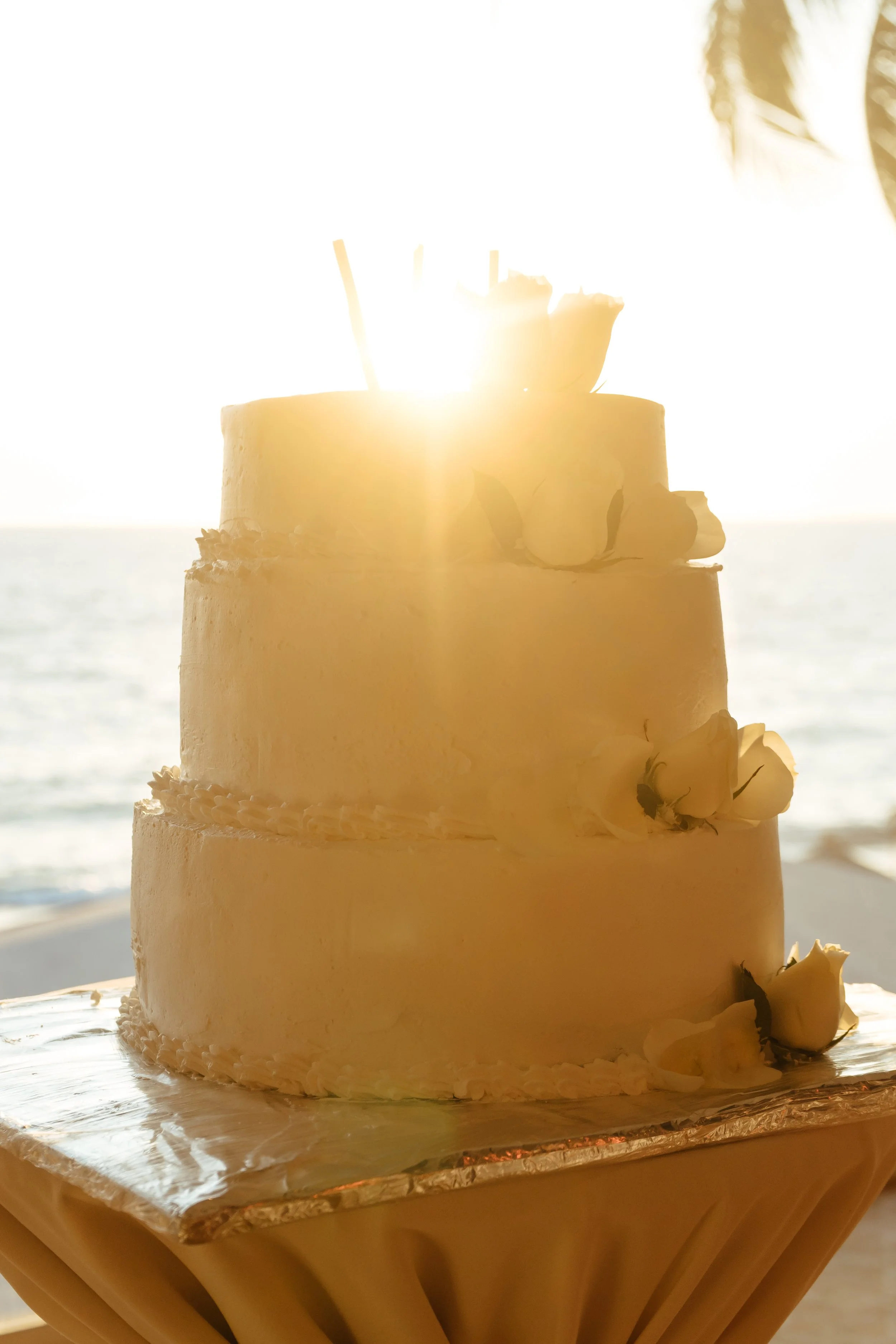 CherryOnTop Weddings - Haydee & Scott-217.jpg