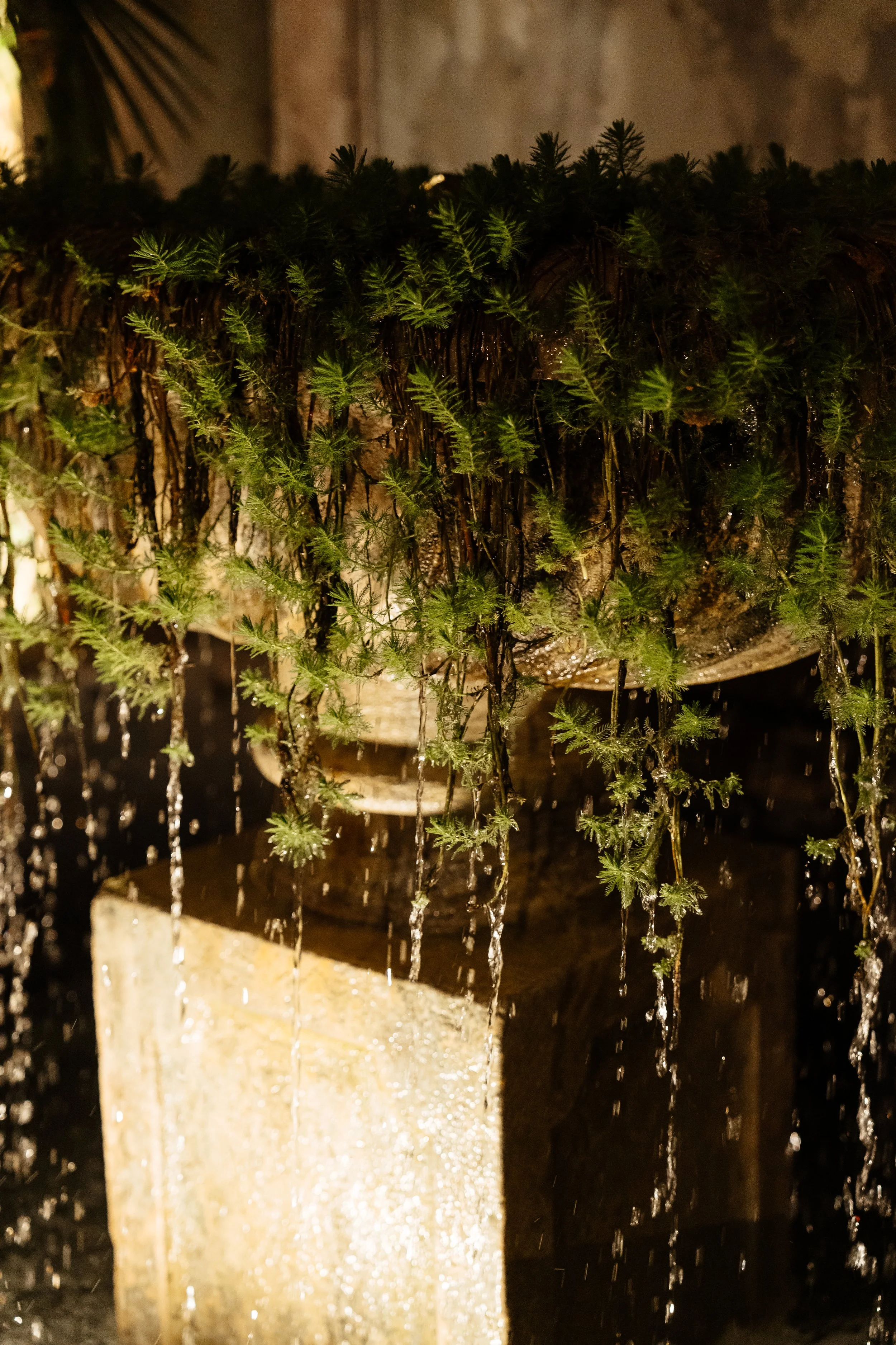 CherryOnTop Weddings - Maggie & Alex-56.jpg