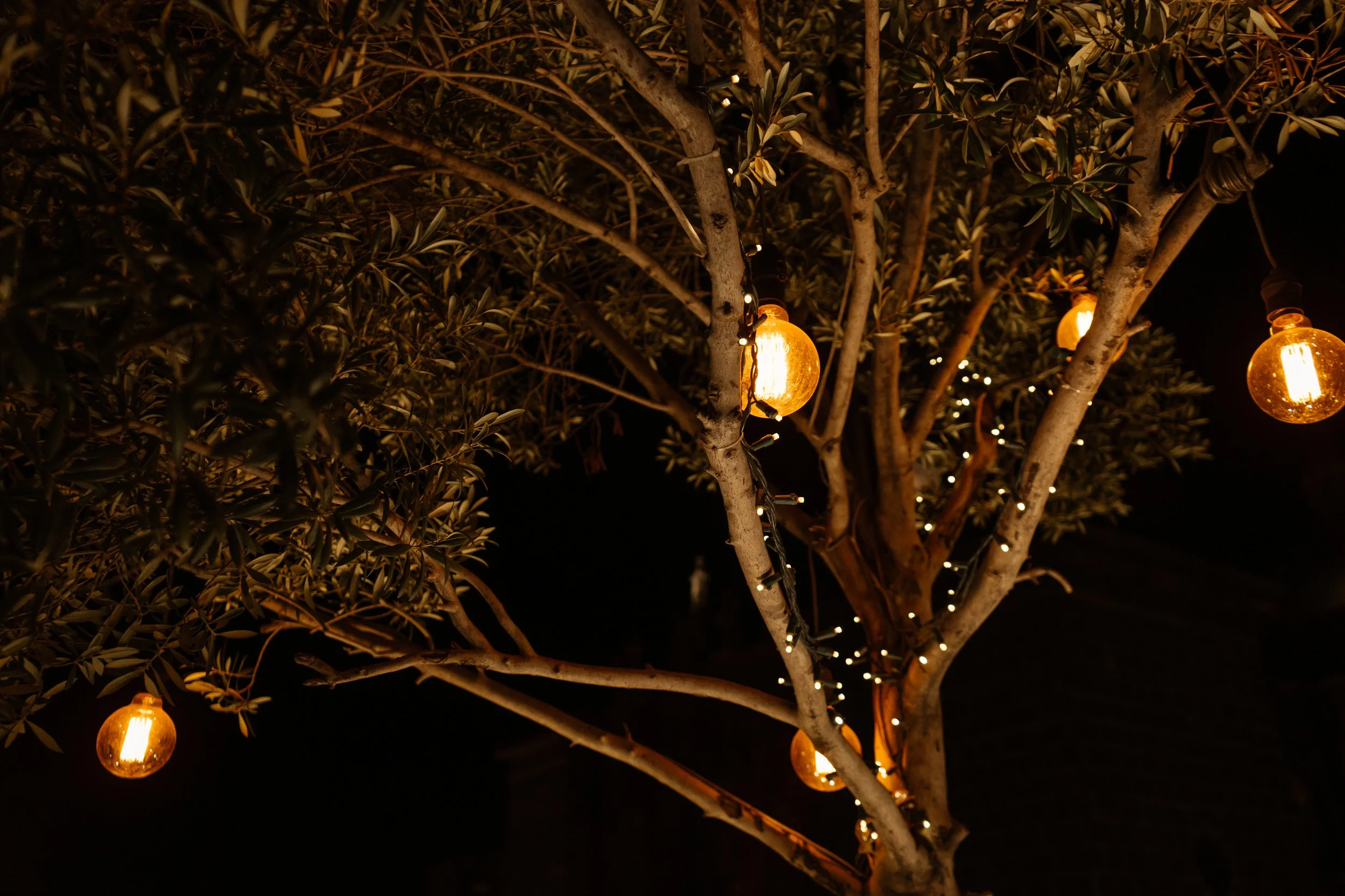 CherryOnTop Weddings - Maggie & Alex-77.jpg