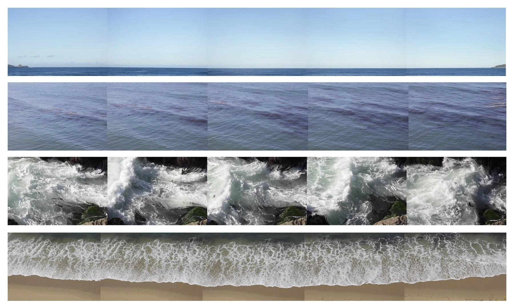 Entropy (homage to Eadweard Muybridge)