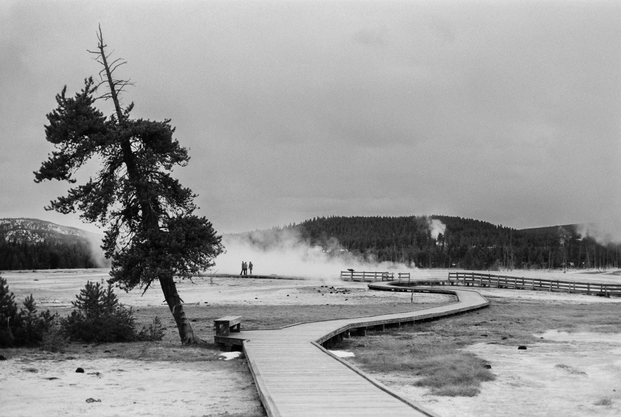Wooden-Boardwalk-Upper-Geyser-Basin-Spring-Wiser-Kathryn.jpg