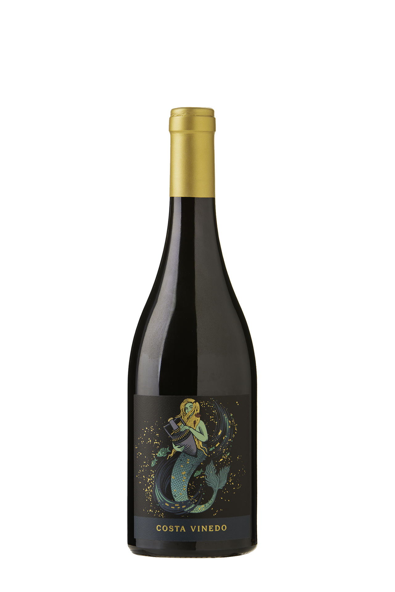 costa-vinedo-17 syrah resized 20.png