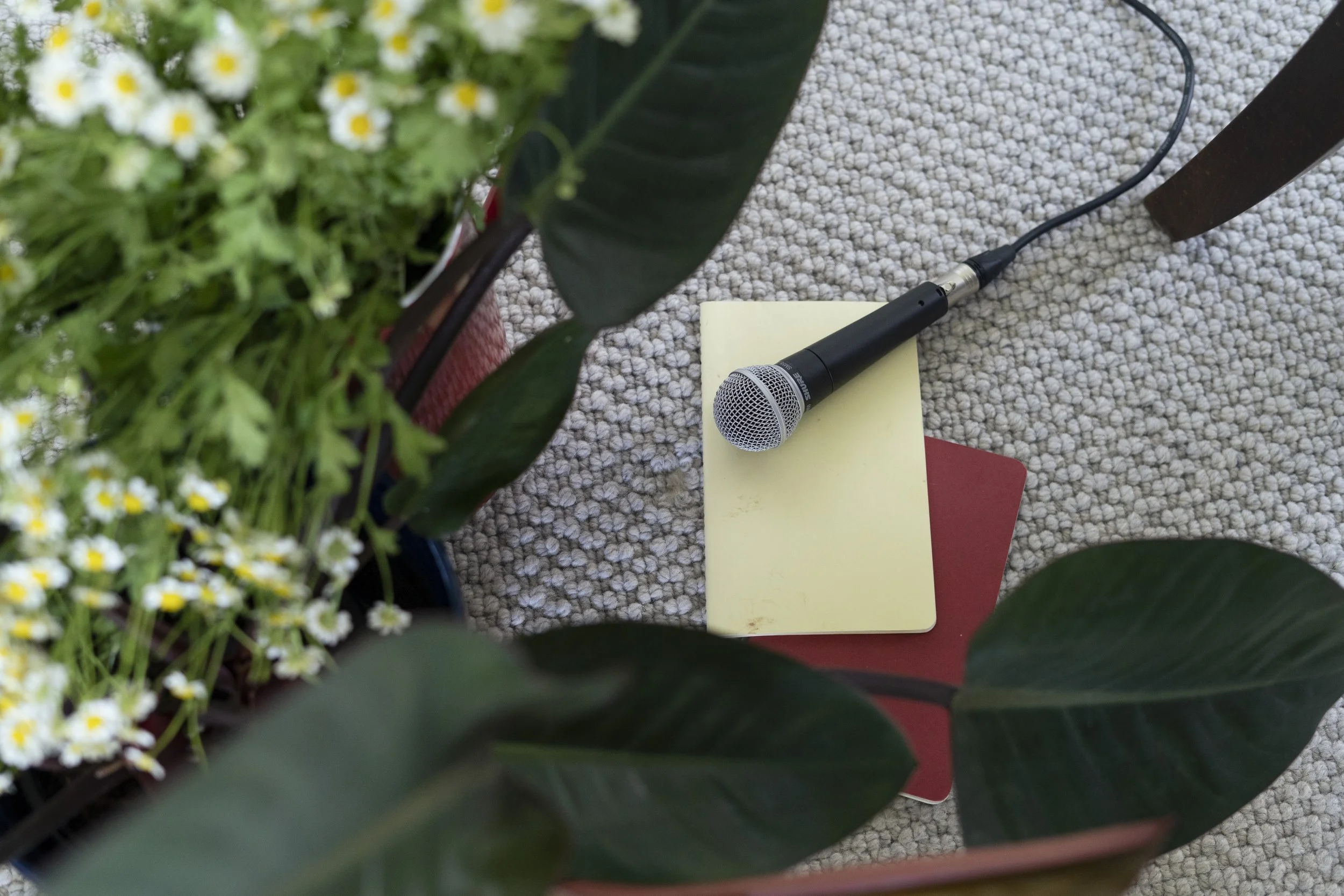 A black microphone resting on a yellow notepad on a carpeted floor, surrounded by potted plants and flowers.