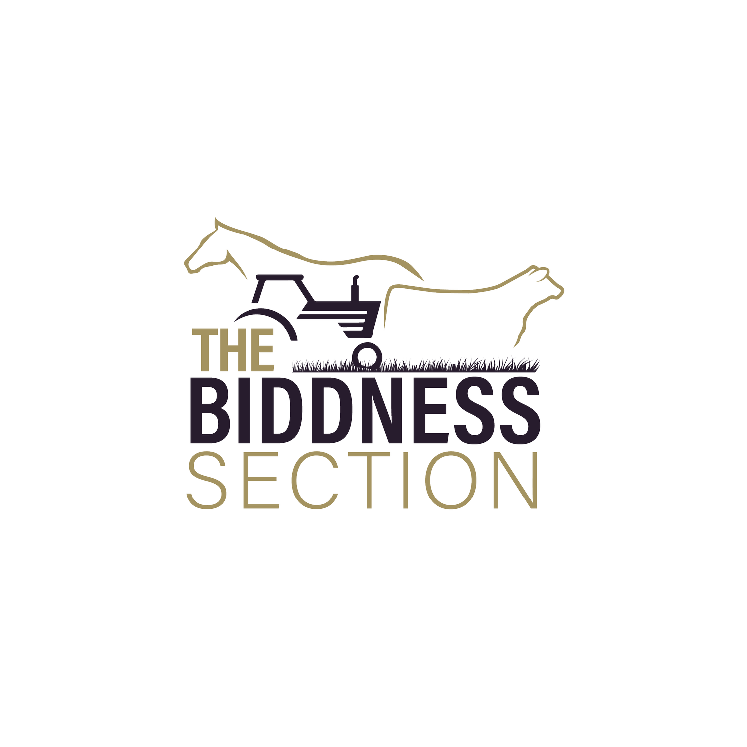 The Biddness Section 