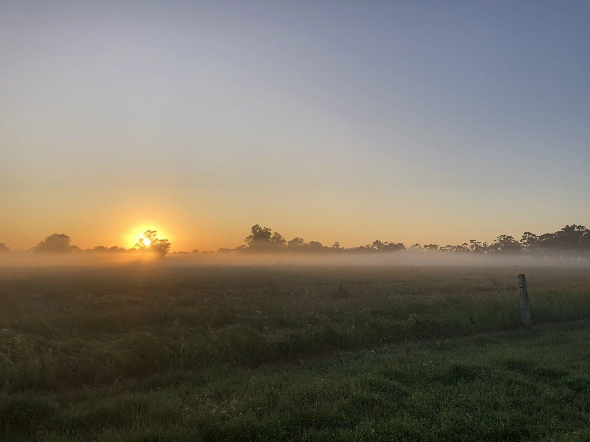 A sunrise over a rural landscape with trees and a field, with a slight mist in the distance.