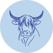 Line drawing of a bull's head with large horns on a light blue circular background.