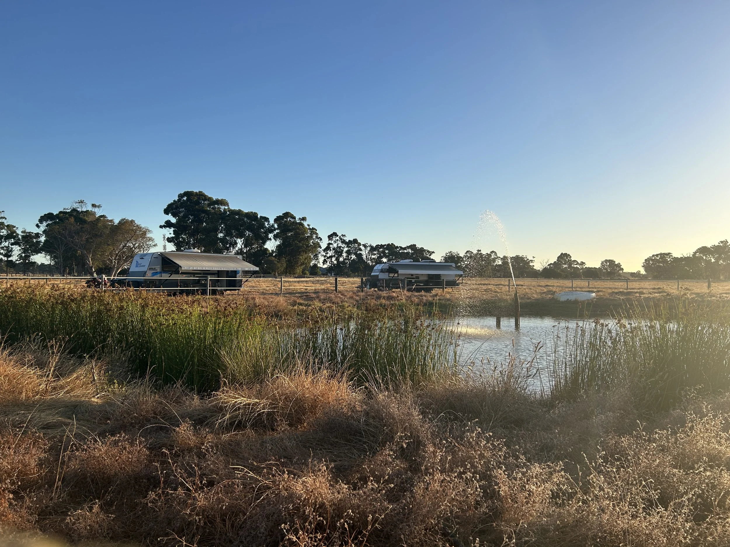 A rural scene with a body of water in the foreground, tall grass, and trees in the background under a clear blue sky. There are two RVs parked near the water, and a fountain spraying water into the air.