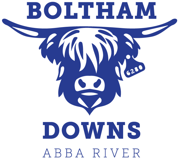 Graphic logo featuring a Highland cow's face with a bell around its neck, positioned between the words 'Boltham Down' at the top and 'Abba River' at the bottom, all in blue.