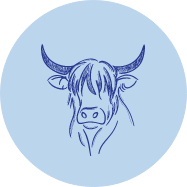 Line drawing of a bull's head with horns inside a blue circle.