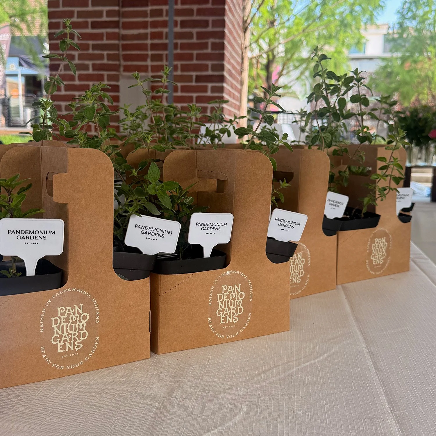Our First Day at the Valparaiso Farmers Market