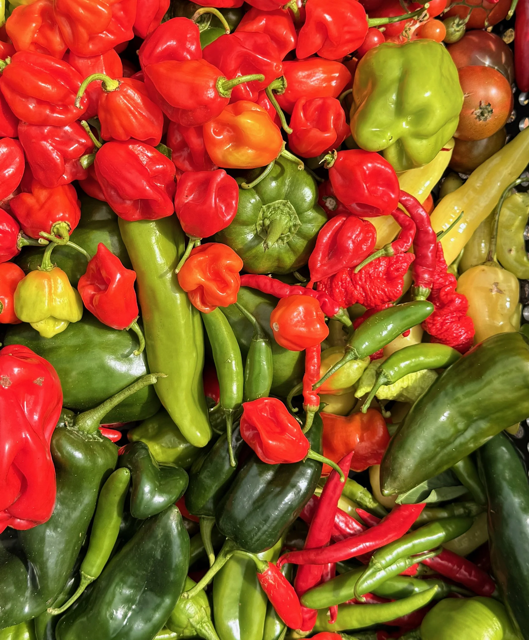 The Pepper Sizzler