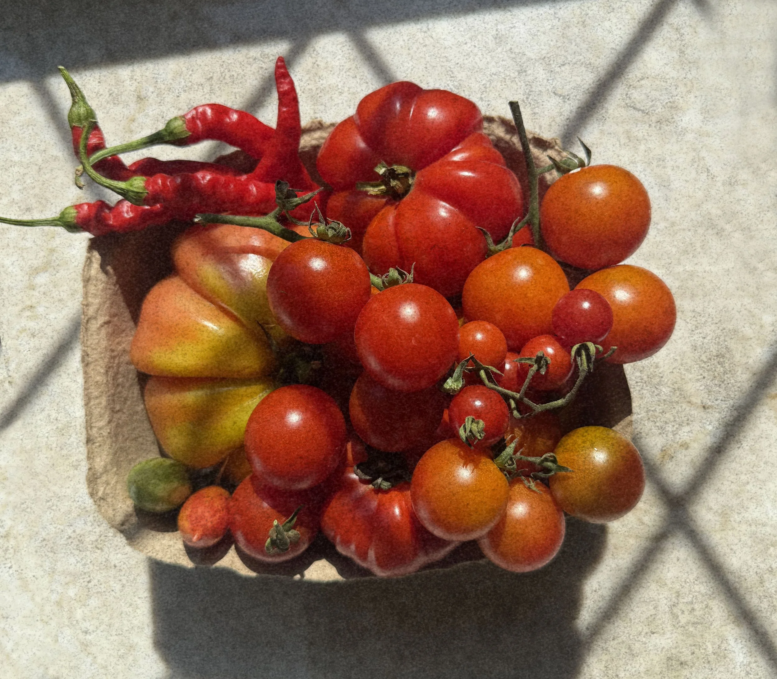 A punnet of juicy heirloom tomatoes from Pandemonium Gardens in Northwest Indiana.