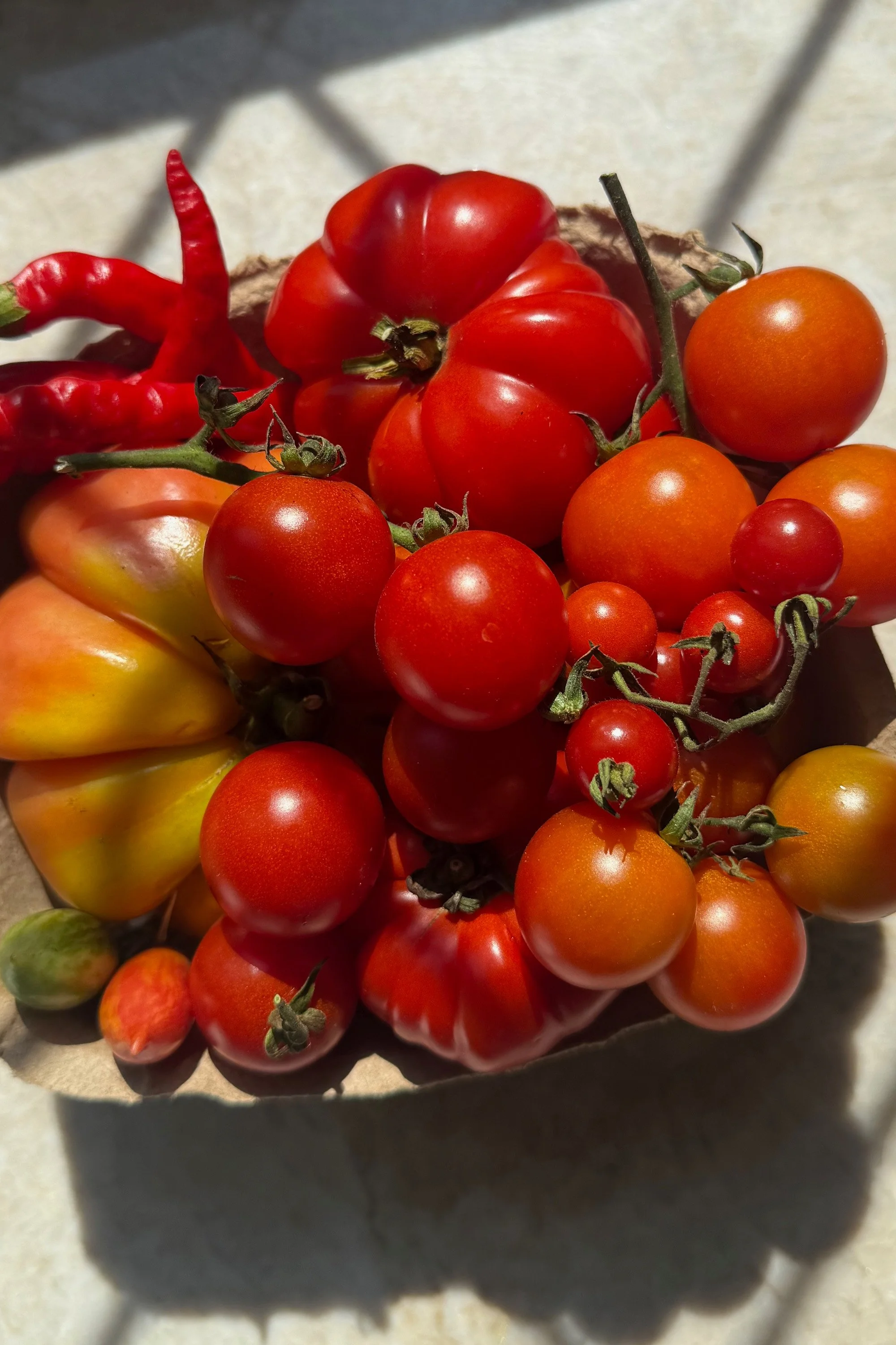 Red heirloom tomatoes and curled hot peppers packed in a kraft box, The Heirloom Stack Wild Kit, Pandemonium Gardens