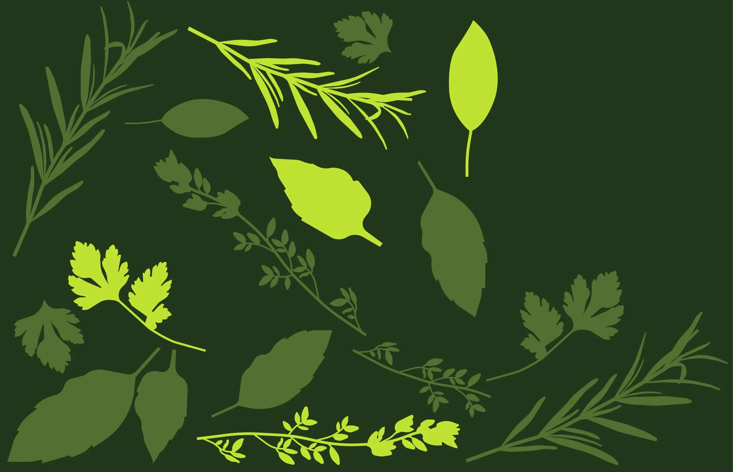 Illustration of various green herbs and leaves on a dark green background.