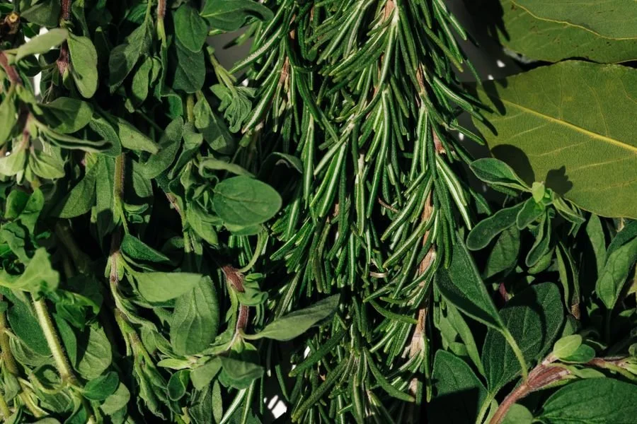 Fresh Kitchen Herbs