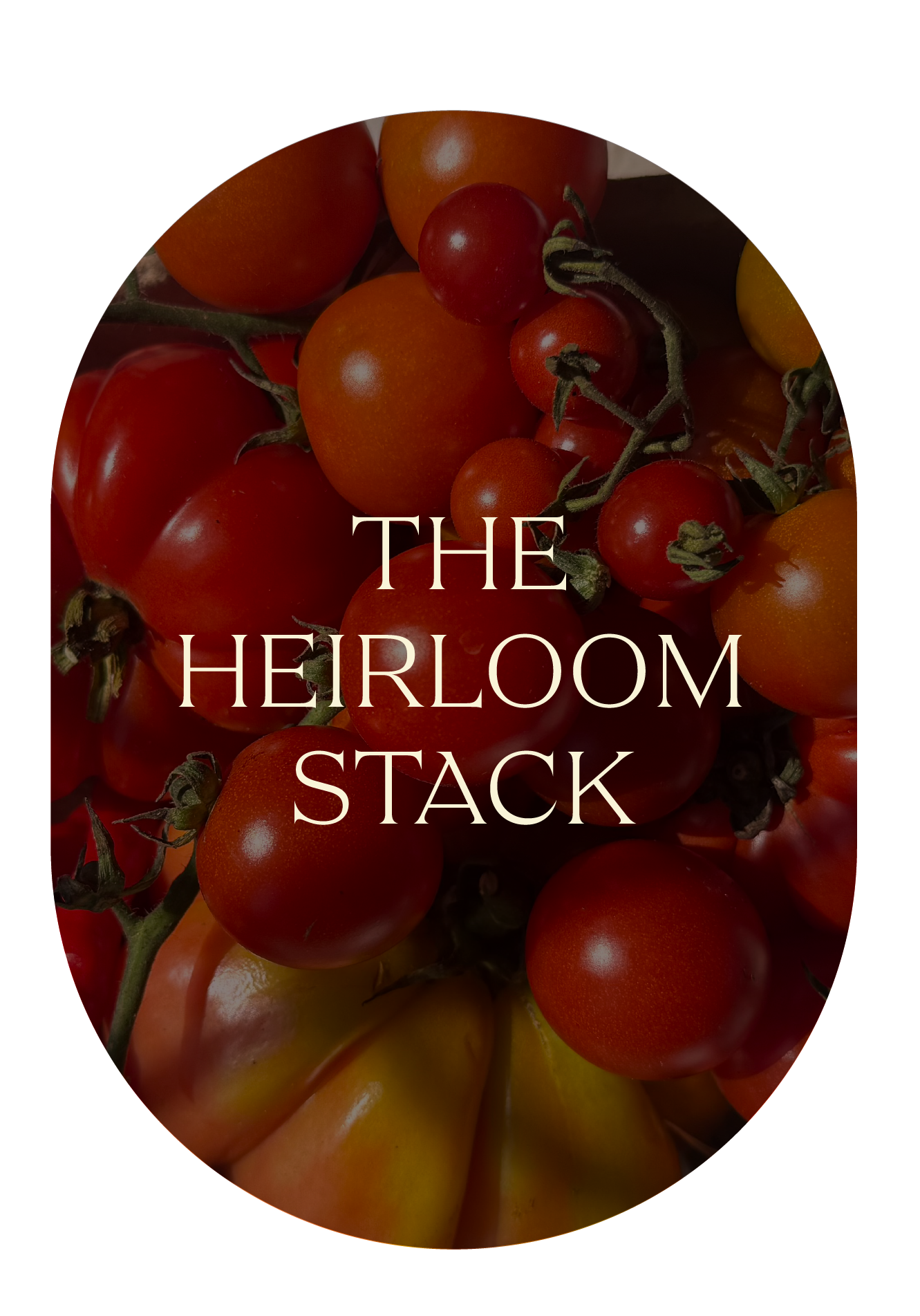 Red and yellow heirloom tomatoes, The Heirloom Stack Wild Kit by Pandemonium Gardens, Northwest Indiana