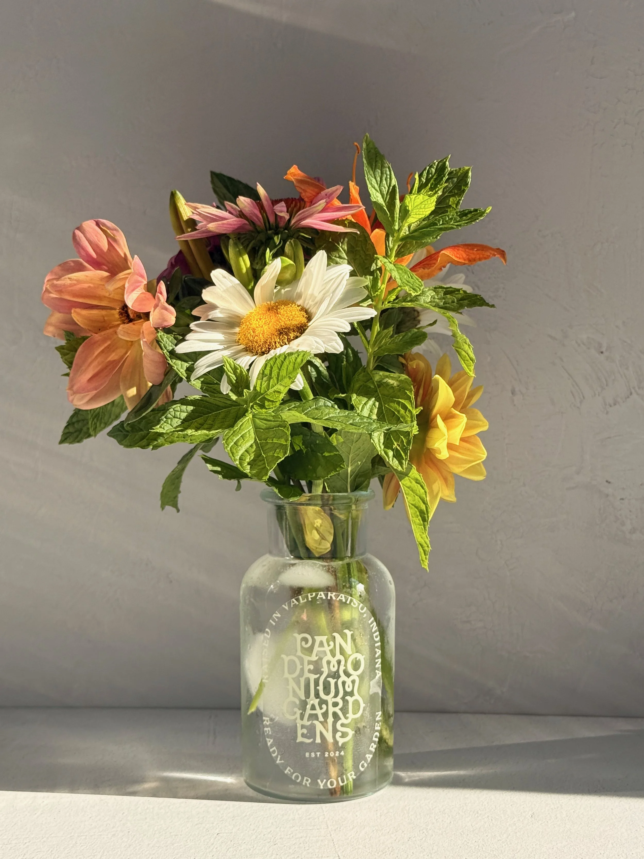 pandemonium-posy-fresh-cut-flowers-valparaiso.jpeg