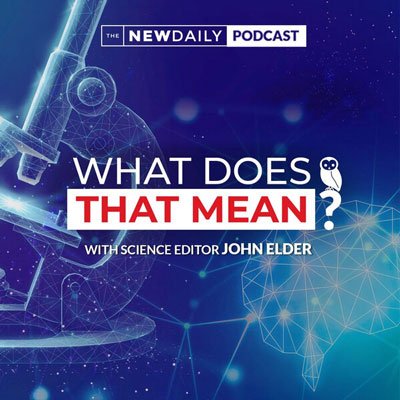 What-Does-That-Mean-Podcast-Art-400px.jpg