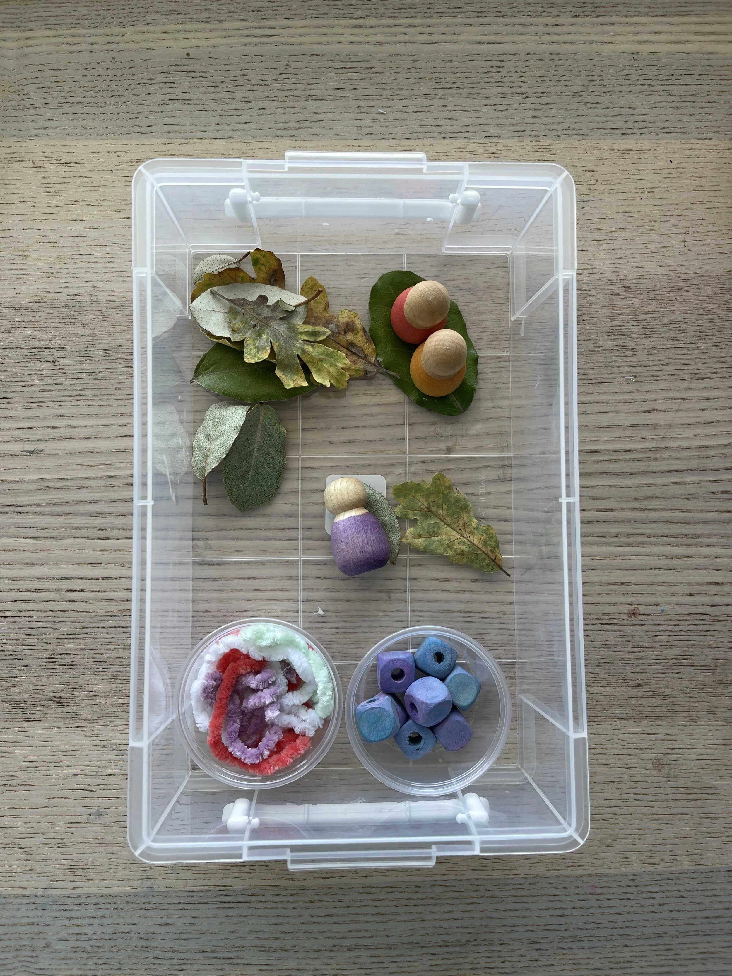 Clear bin holding leaves, wooden peg dolls, and dyed wooden beads for building an outdoor story scene