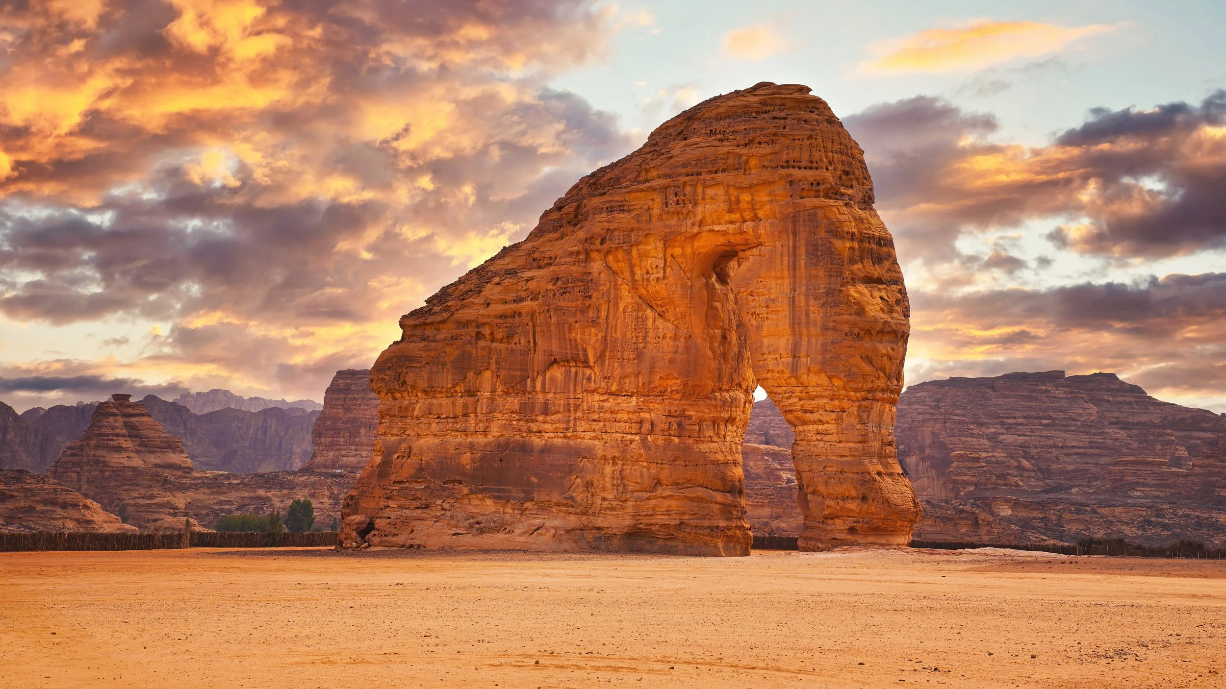 RISE: A 6-Week Growth Intensive