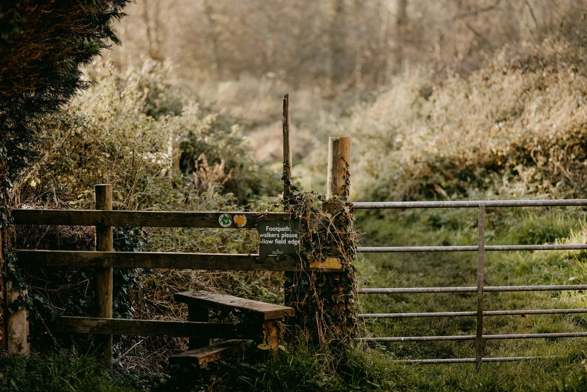 Gate on countryside walking path representing life transitions and new directions.