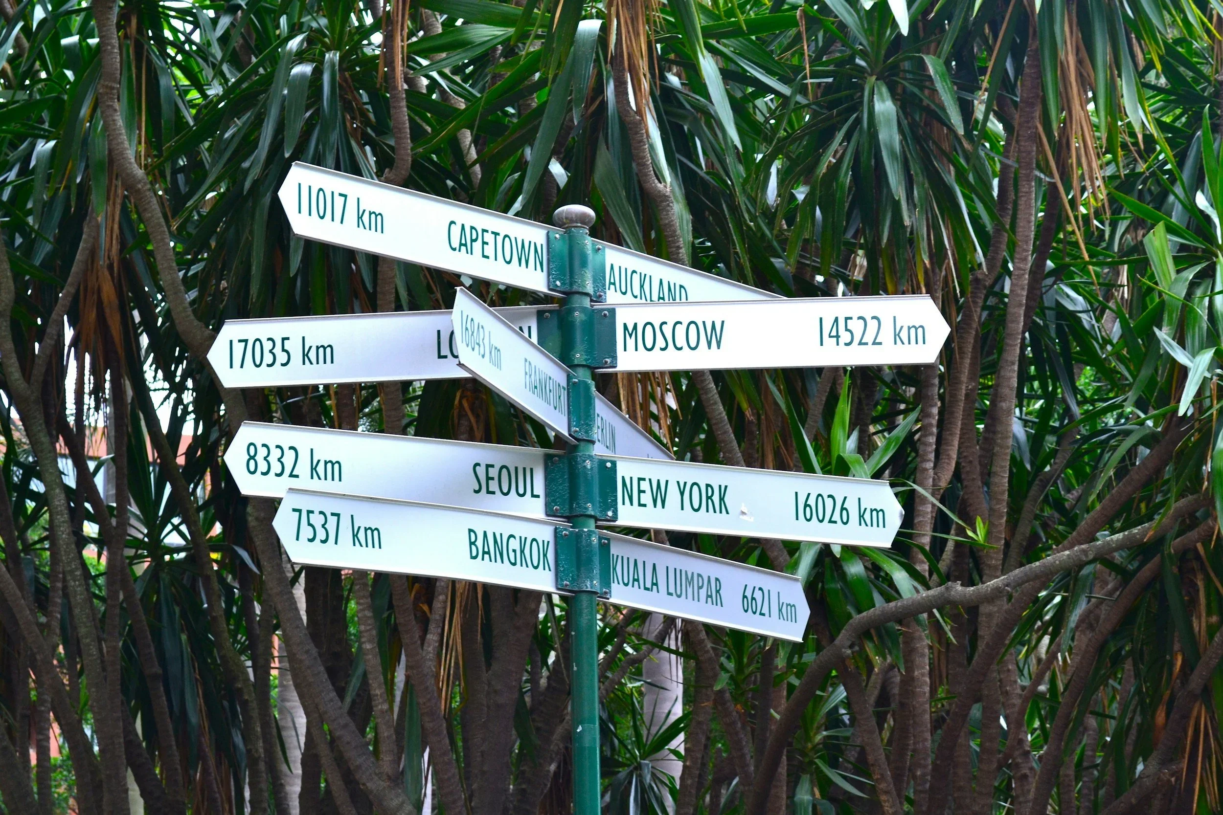 Signpost pointing in different directions representing life choices and personal pathways.