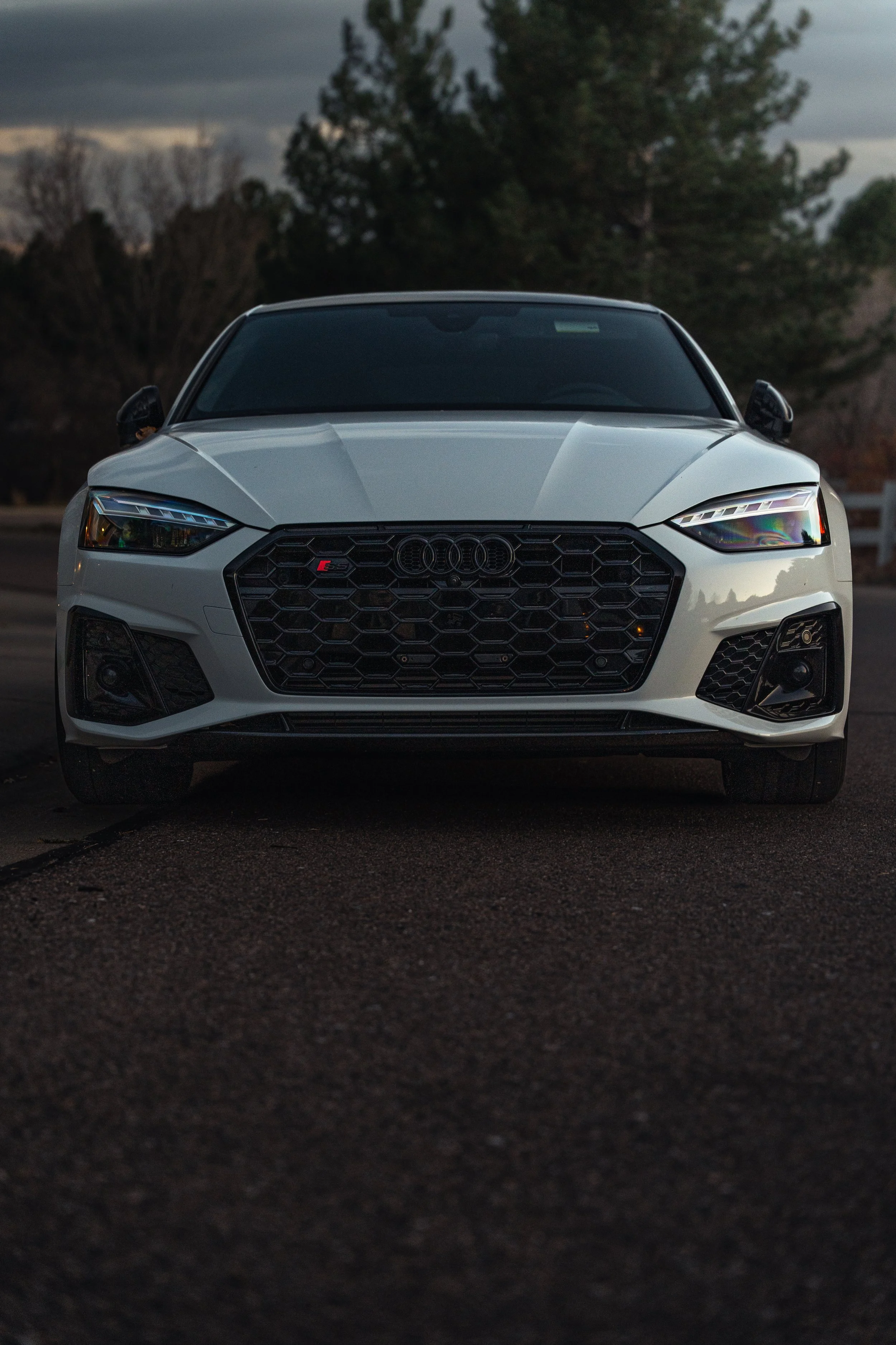 Photography showcase