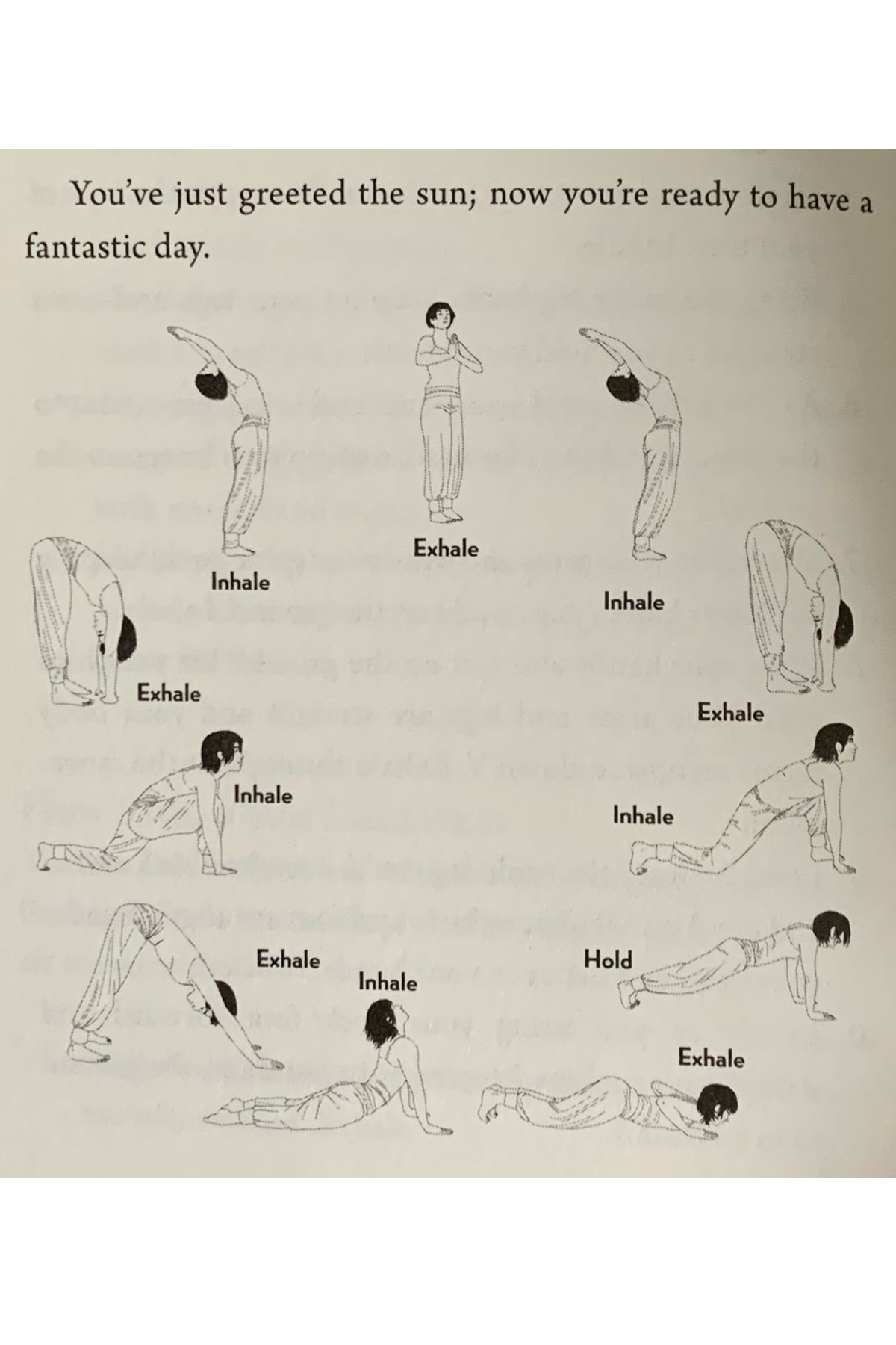 sun salute.png