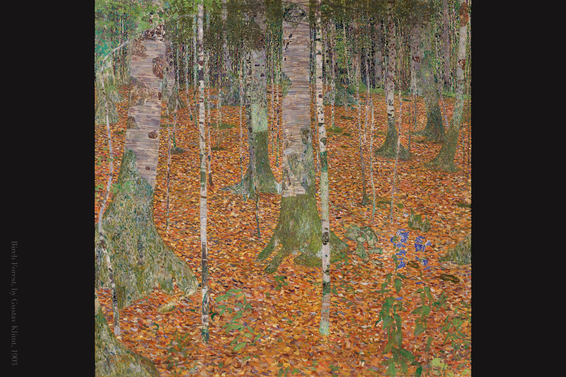 birch forest.png