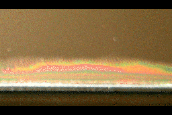 bubble under screen protector