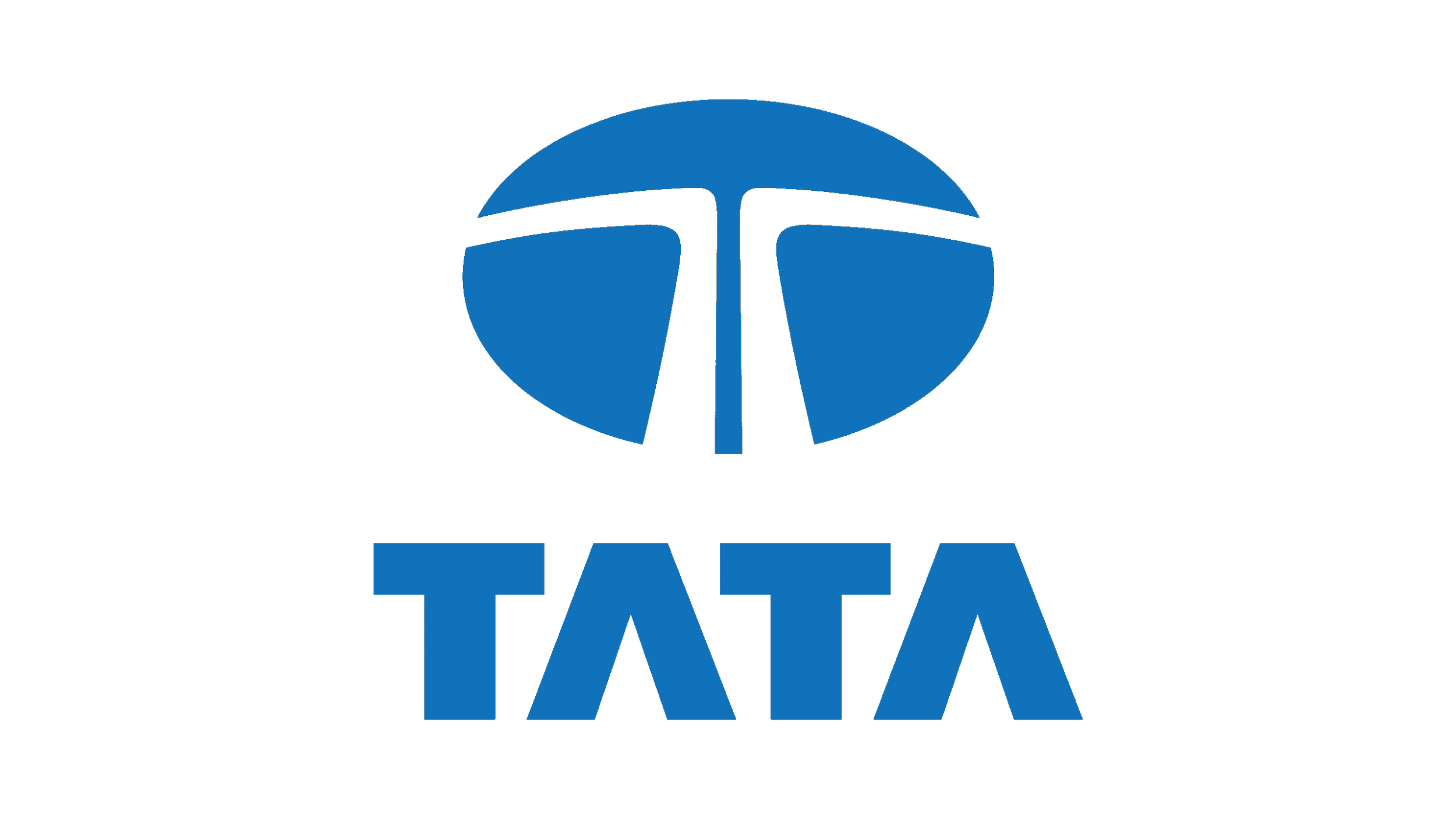 Tata logo with a blue stylized globe and the word 'TATA' in blue capital letters underneath.