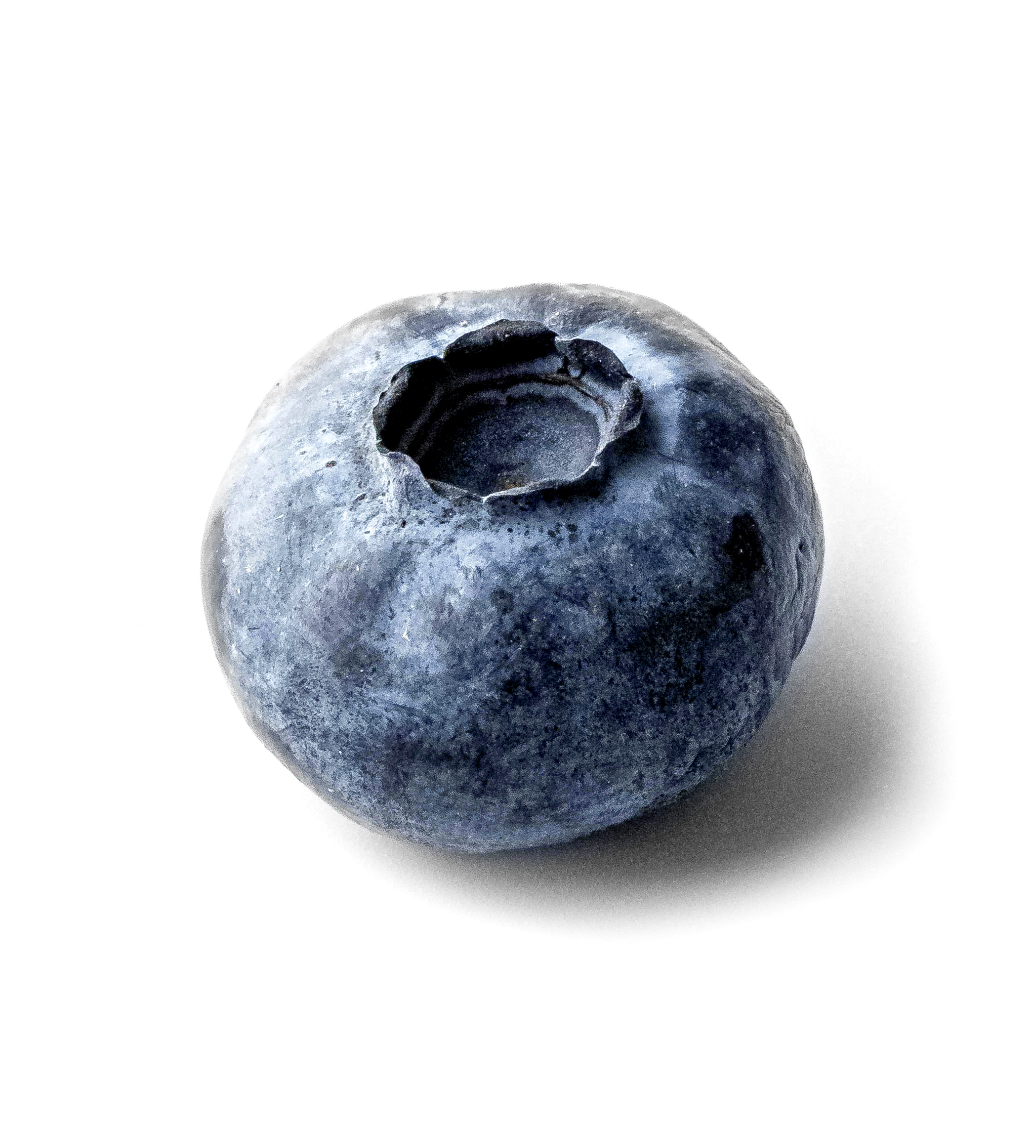 fresh image of blueberry sitting on white background