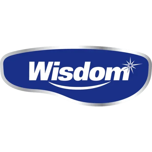 Wisdom logo with white text on a blue oval background and a starburst.
